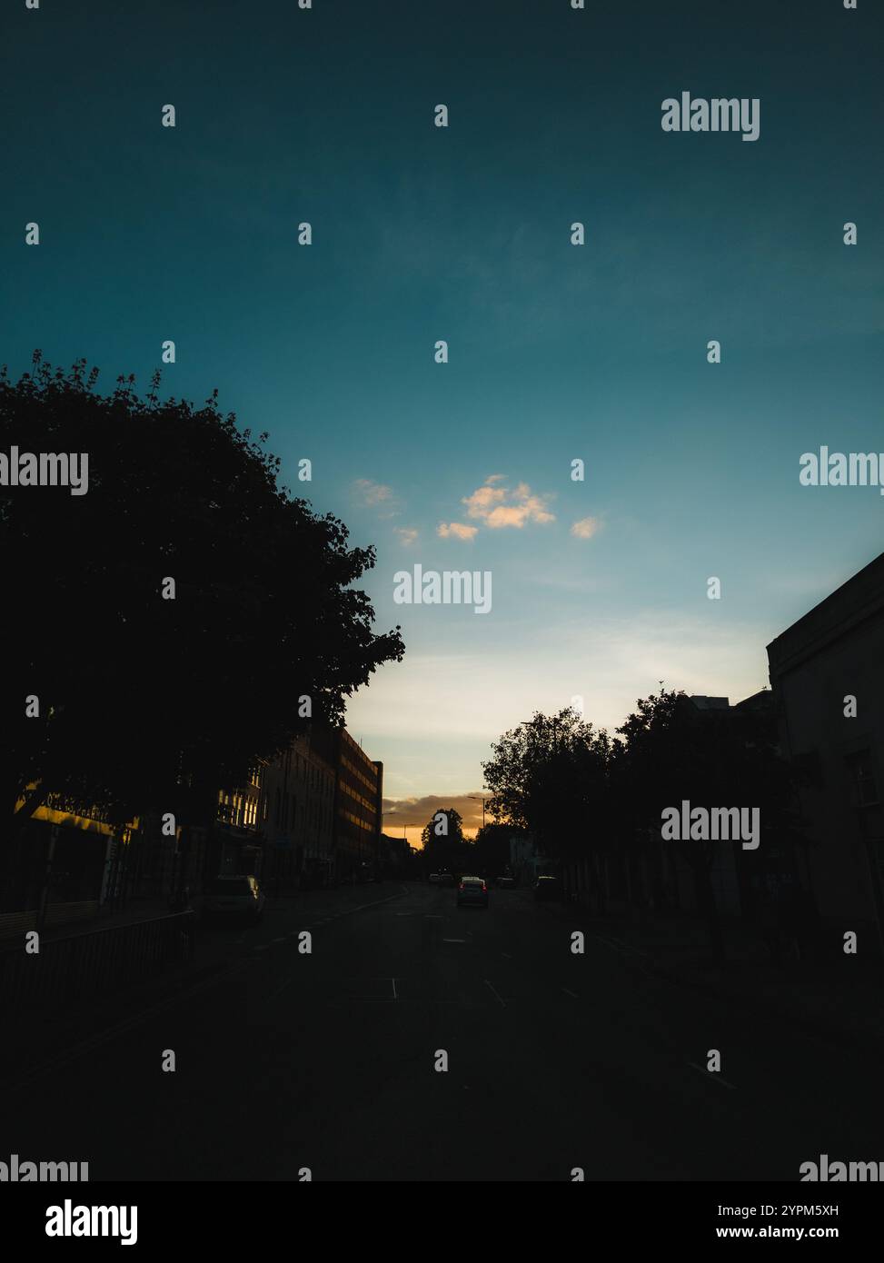 Tranquilla Urban Street al tramonto incorniciata da alberi sagomati e cielo pastello Foto Stock