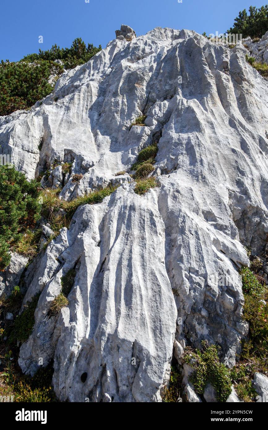 Fenomeni carsici. Scanalature rettilinee. Rocce calcaree sedimentarie. Catena montuosa del Karwendel. Alpi calcaree settentrionali. Tirolo, Austria. Europa Foto Stock