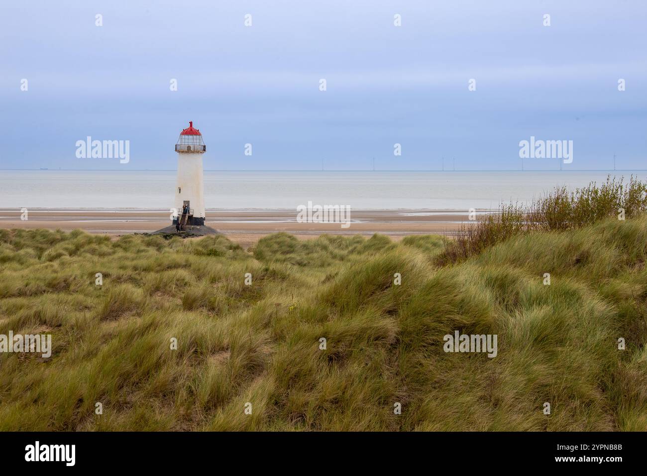 Faro Point of Ayr visto durante la bassa marea in piedi su Talacre Beach, preso il 30 ottobre 2024,5 Foto Stock