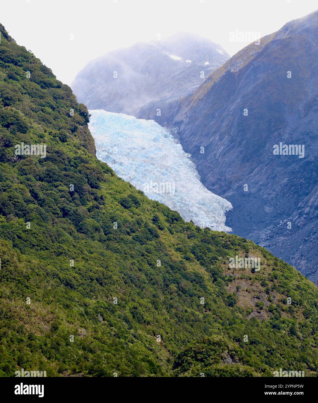 Ghiacciaio Franz Josef, Nuova Zelanda Foto Stock