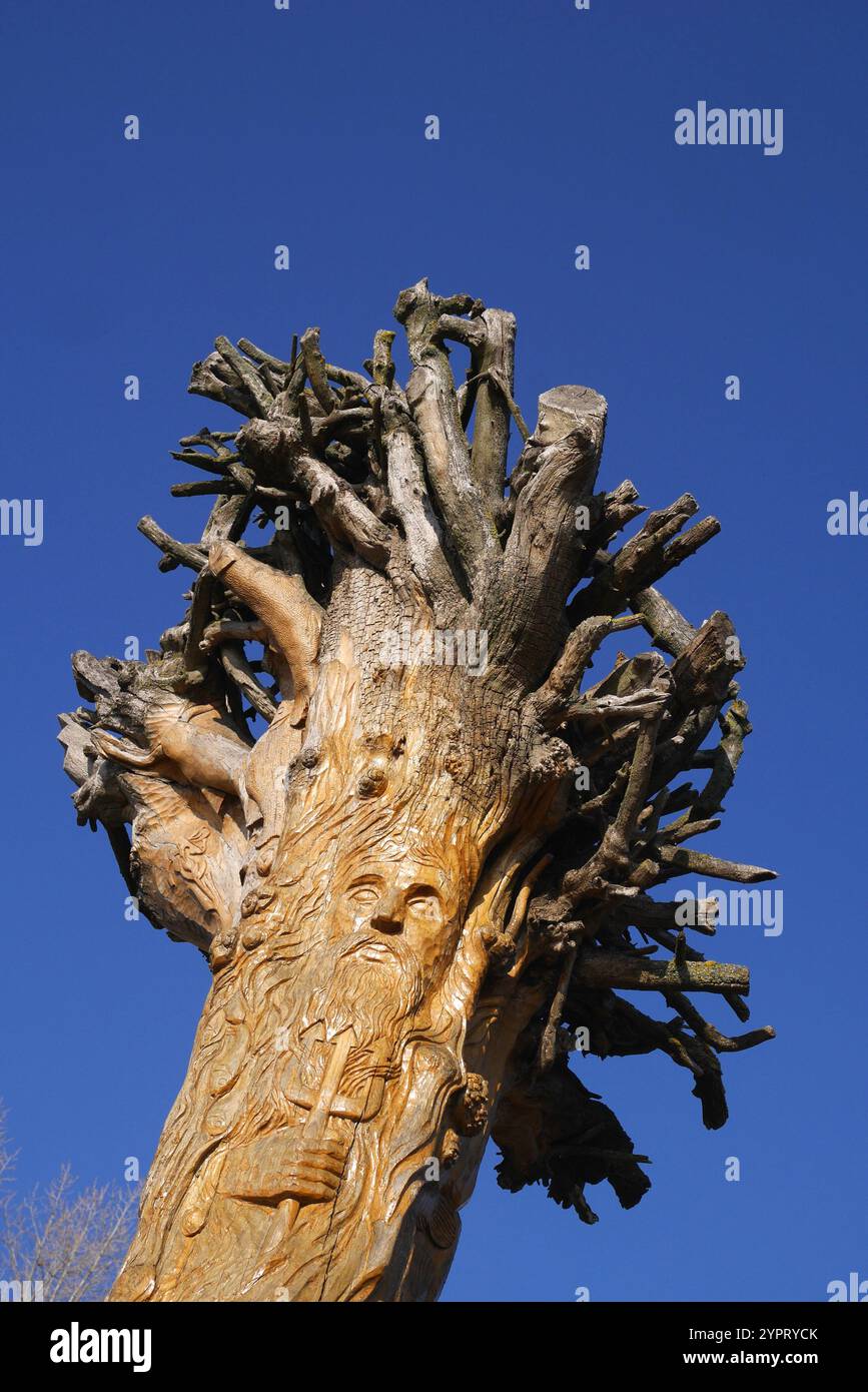 Pilastro del tronco d'albero in legno scolpito alla confluenza del ramo principale del Danubio e del ramo sussidiario Soroksar, isola di Csepel, Ungheria. Foto Stock