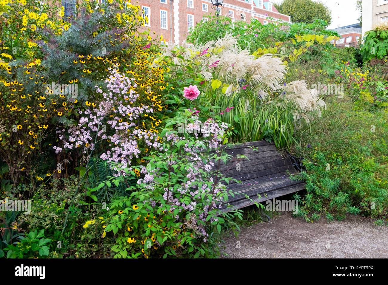 Inner Temple perenne fiori di giardino fioriscono al confine con panchina erba autunno 2024 ottobre Londra Inghilterra Regno Unito Gran Bretagna KATHY DEWITT Foto Stock