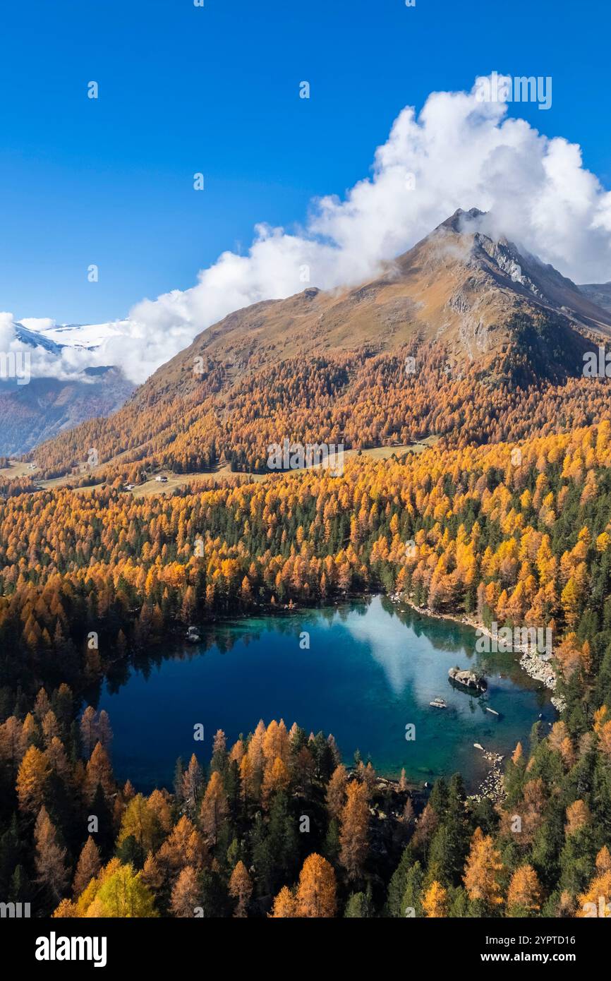 Vista aerea del lago Saoseo in autunno. Valle di Poschiavo, Cantone di Graubuenden, Svizzera, Europa. Foto Stock