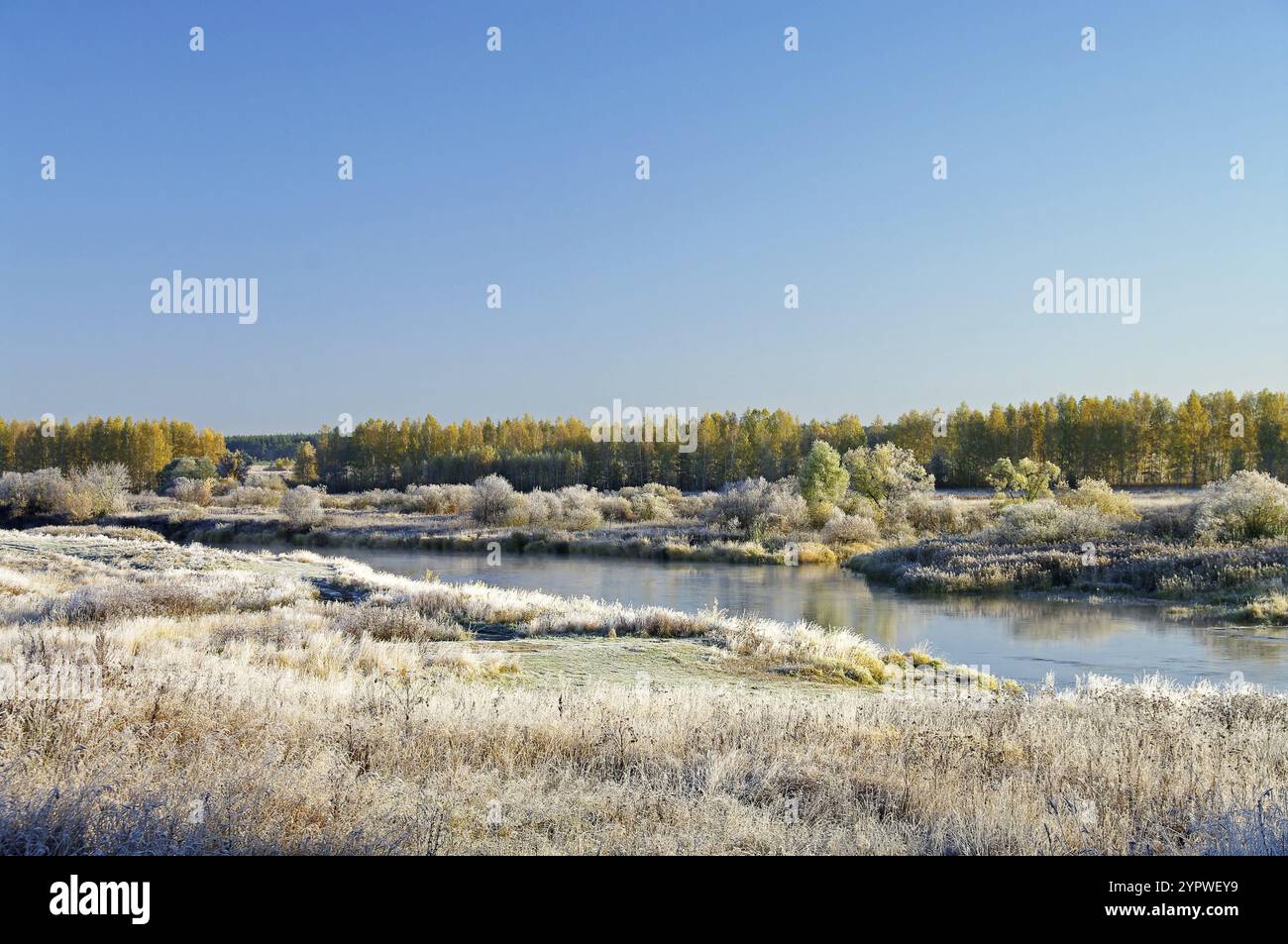 Soleggiata mattina di ottobre sul fiume. Fiume NERL, villaggio di Kideksha, distretto di Suzdal, regione di Vladimir Foto Stock