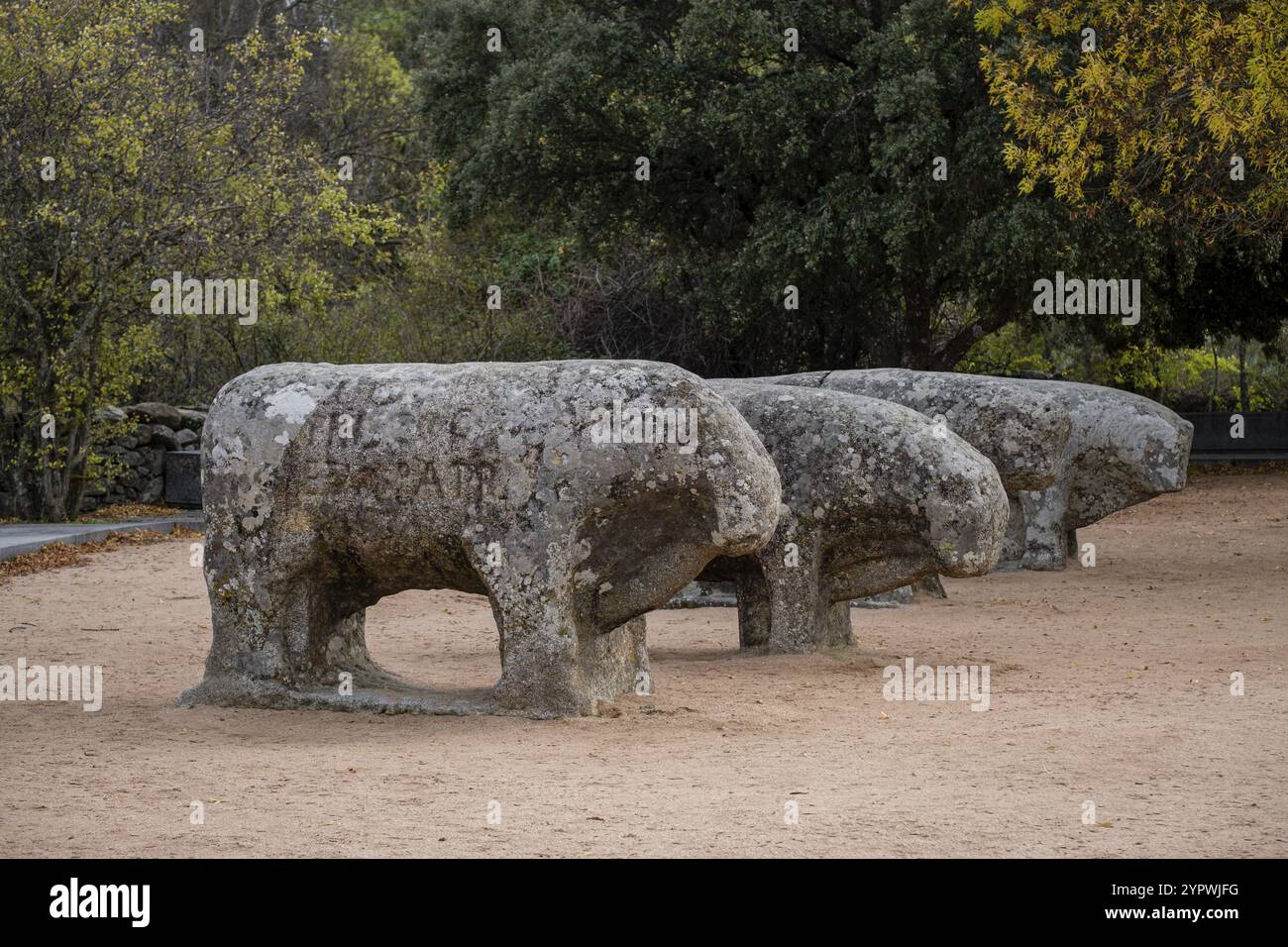 Tori di Guisando, gruppo scultoreo Veton, IV e III secolo a.C., età del ferro, Avila, provincia di Avila, comunità autonoma di Castilla y Leon, Foto Stock