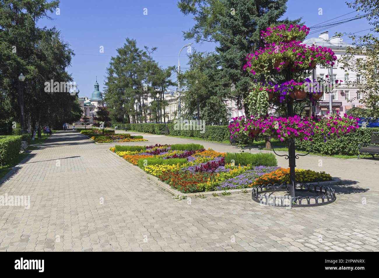 Irkutsk, Russia, agosto 2021: Letto di fiori a più livelli con petunie in fiore sul viale in via Lenin a Irkutsk. Giornata di sole ad agosto, Europa Foto Stock