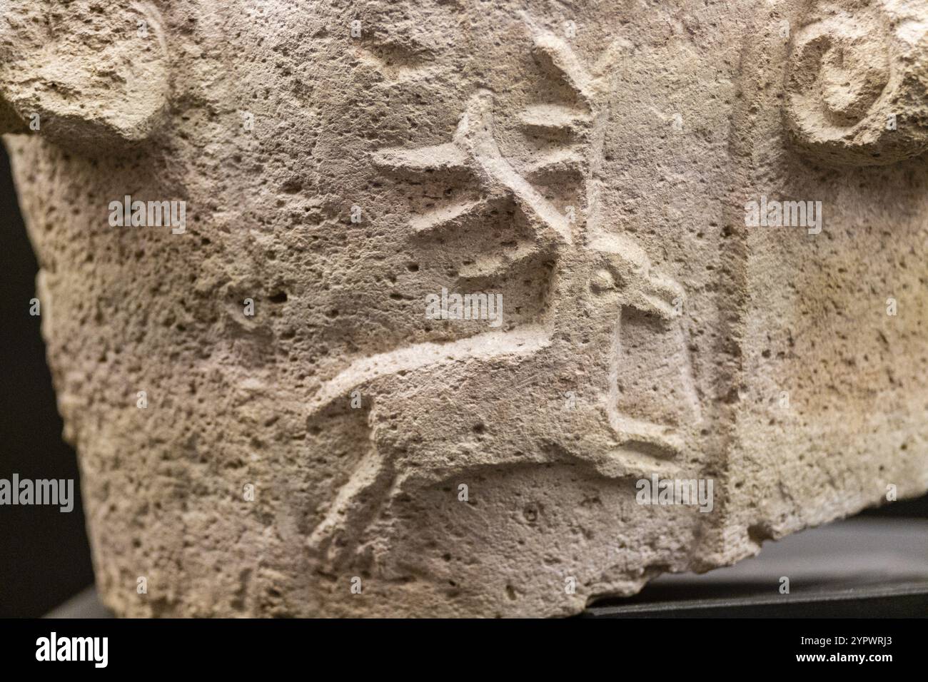 Capitale con un cervo in corsa, vi secolo, scalinate, Museo dei Concili e Cultura Visigota, Chiesa di San Romano, Toledo, Castilla-la Mancha, Spagna Foto Stock