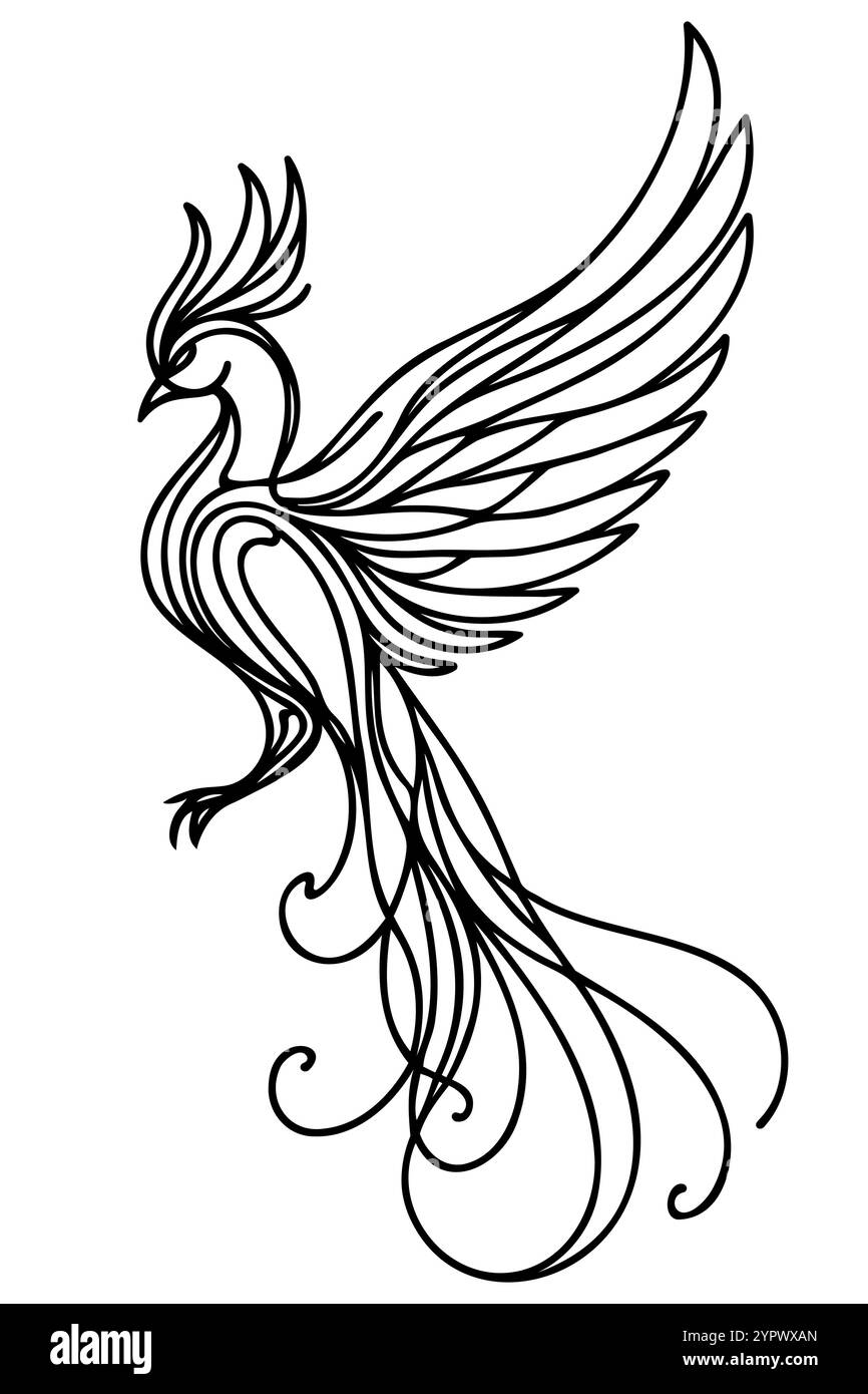Disegno grafico della linea di uccelli phoenix isolato dal vettore. Uccello phoenix volante bianco e nero incolore con ali allungate e tatuaggio a coda lunga, clo Illustrazione Vettoriale