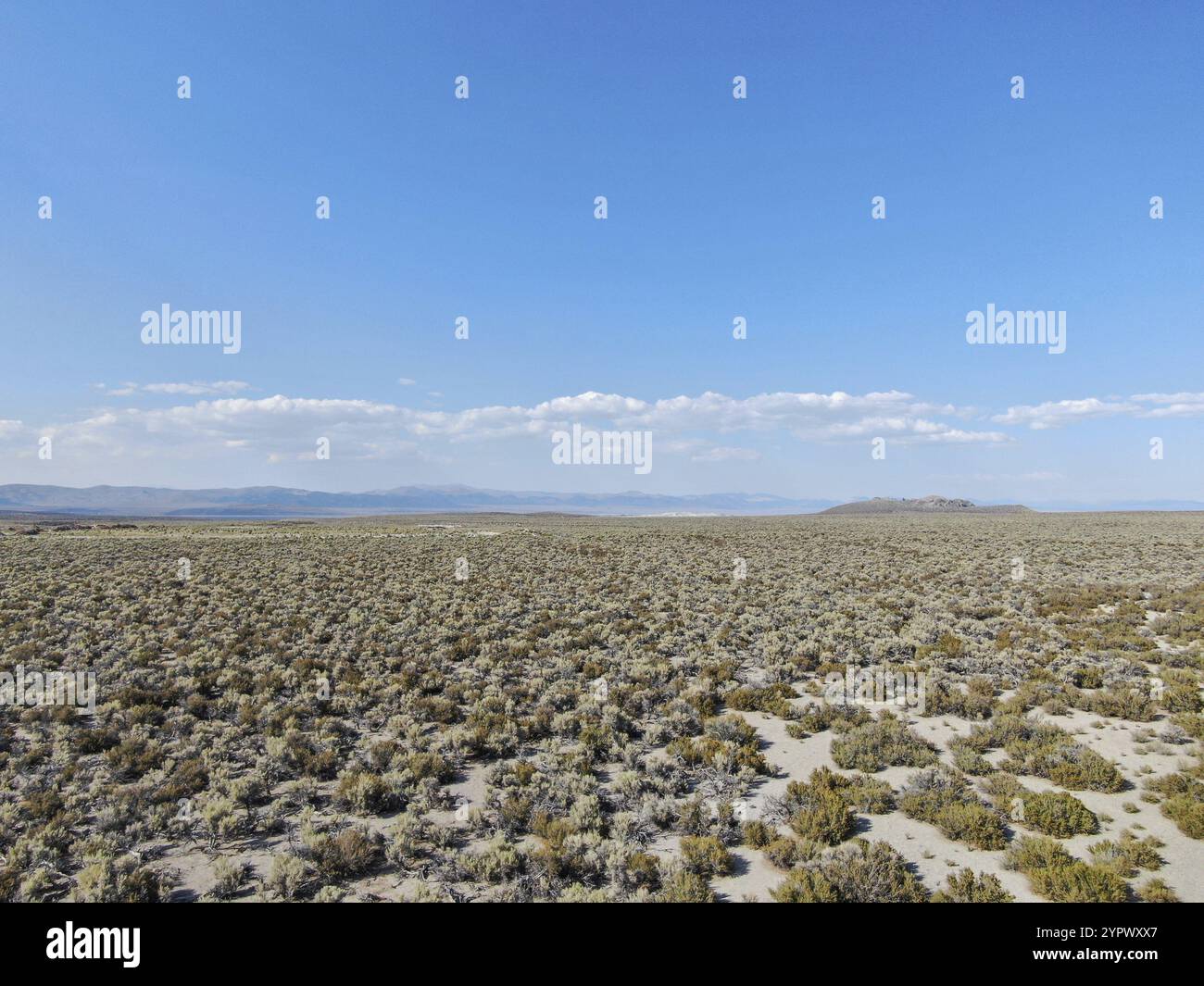 Vista aerea della terra desertica polverosa e arida e delle montagne sullo sfondo Lee Vining Mono County, California, USA, Nord America Foto Stock