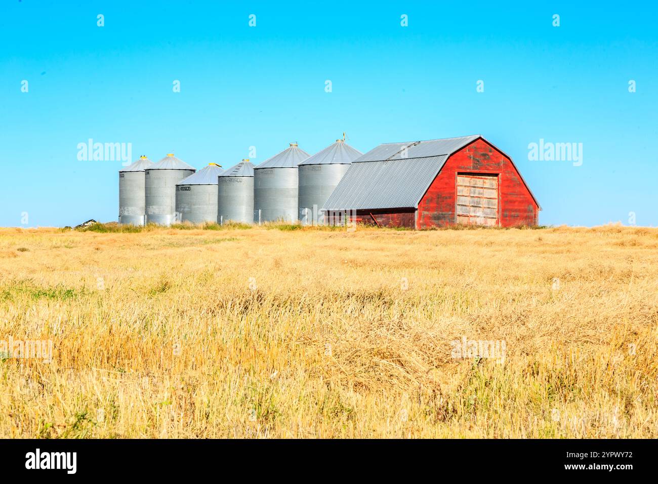 Un fienile rosso si trova in un campo di erba gialla. Il fienile è circondato da numerosi grandi silos. La scena è tranquilla e serena, con il fienile e i silos b Foto Stock