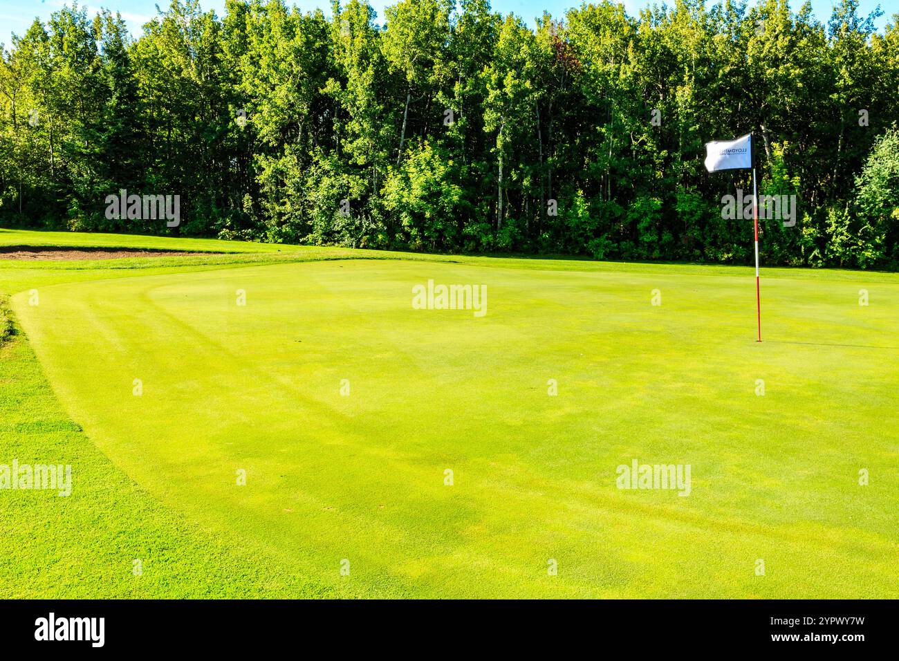 Un campo da golf con un campo in erba verde e un palo. La bandiera è bianca ed è a terra Foto Stock