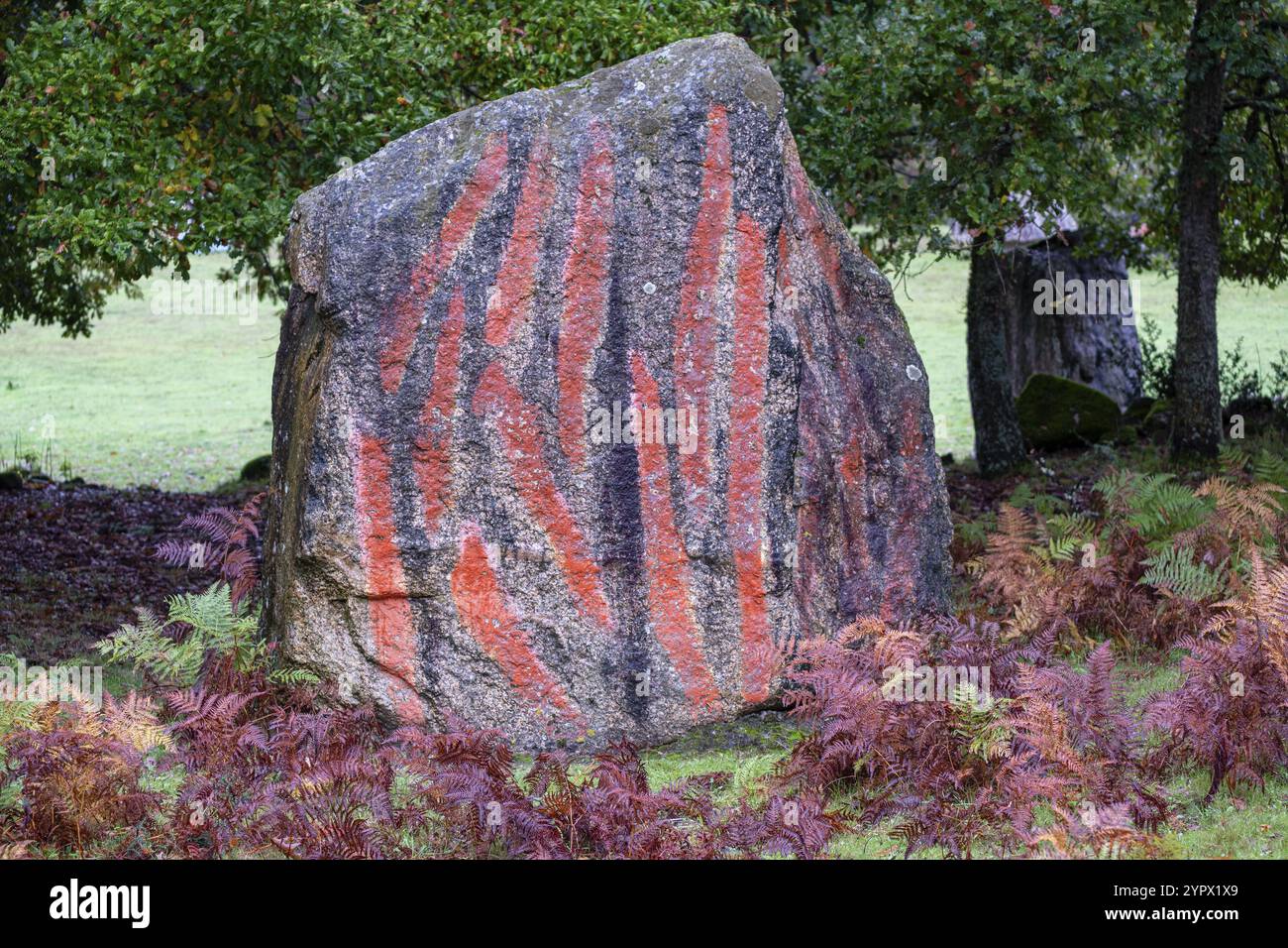 O Rexo Ecospace, intervento pittorico e scultoreo dell'artista Agustin Ibarrola su uno spazio naturale, Allariz, Ourense, Galizia, Spagna, Europa Foto Stock