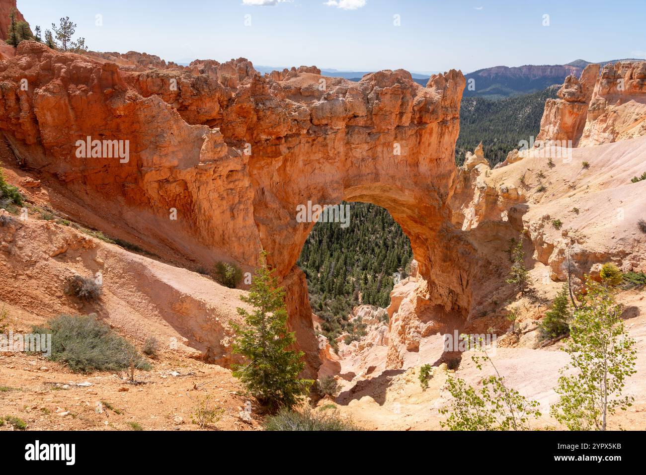 Parco Nazionale di Bryce Canyon nel sud dello Utah, Stati Uniti d'America Foto Stock