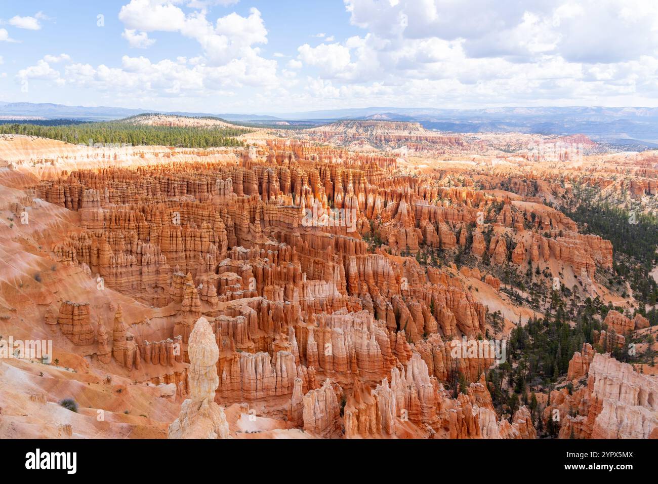 Parco Nazionale di Bryce Canyon nel sud dello Utah, Stati Uniti d'America Foto Stock