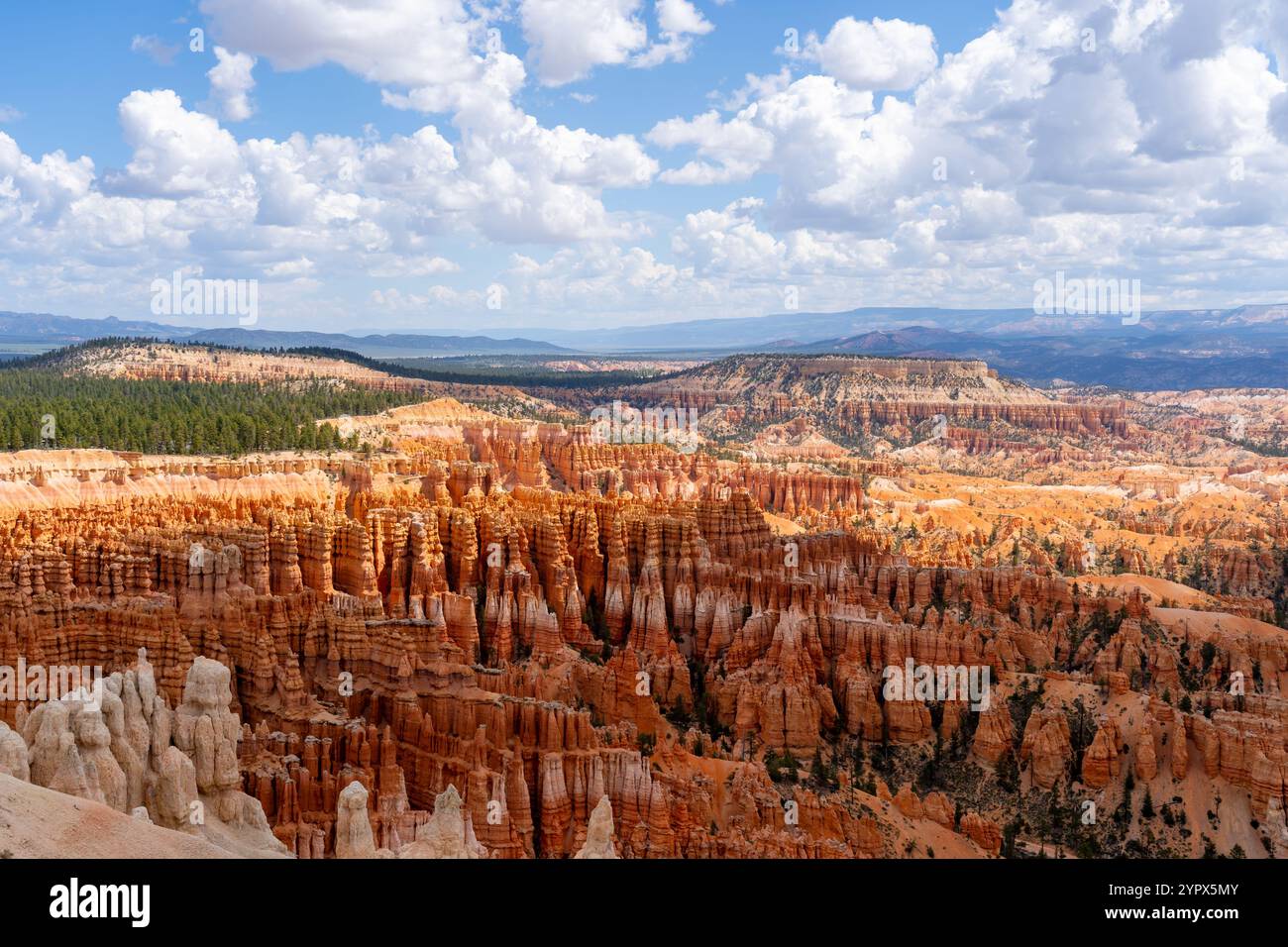 Parco Nazionale di Bryce Canyon nel sud dello Utah, Stati Uniti d'America Foto Stock