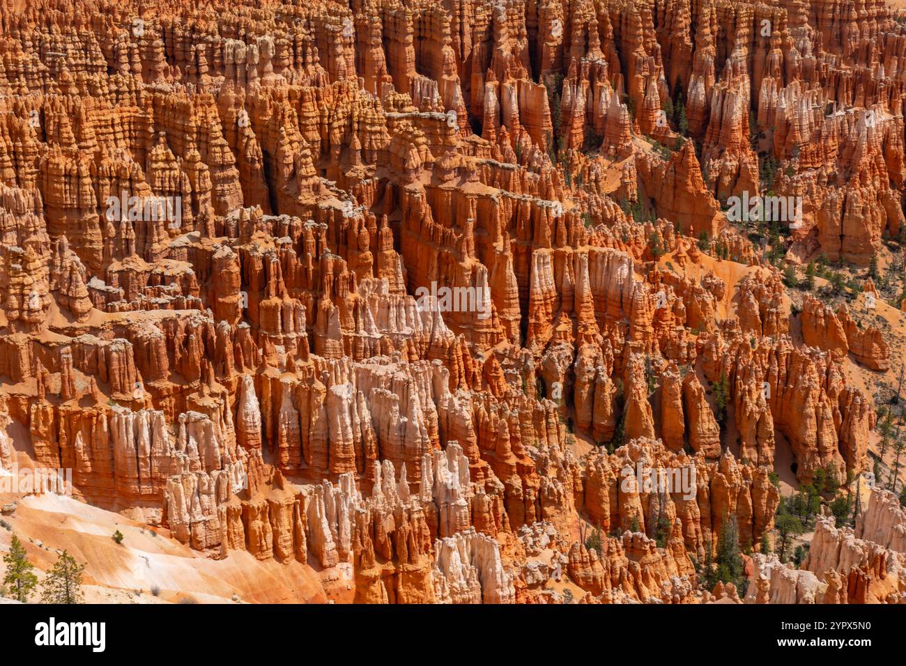 Parco Nazionale di Bryce Canyon nel sud dello Utah, Stati Uniti d'America Foto Stock