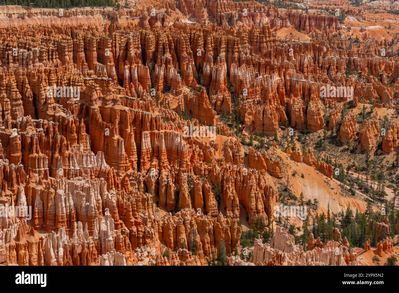 Parco Nazionale di Bryce Canyon nel sud dello Utah, Stati Uniti d'America Foto Stock