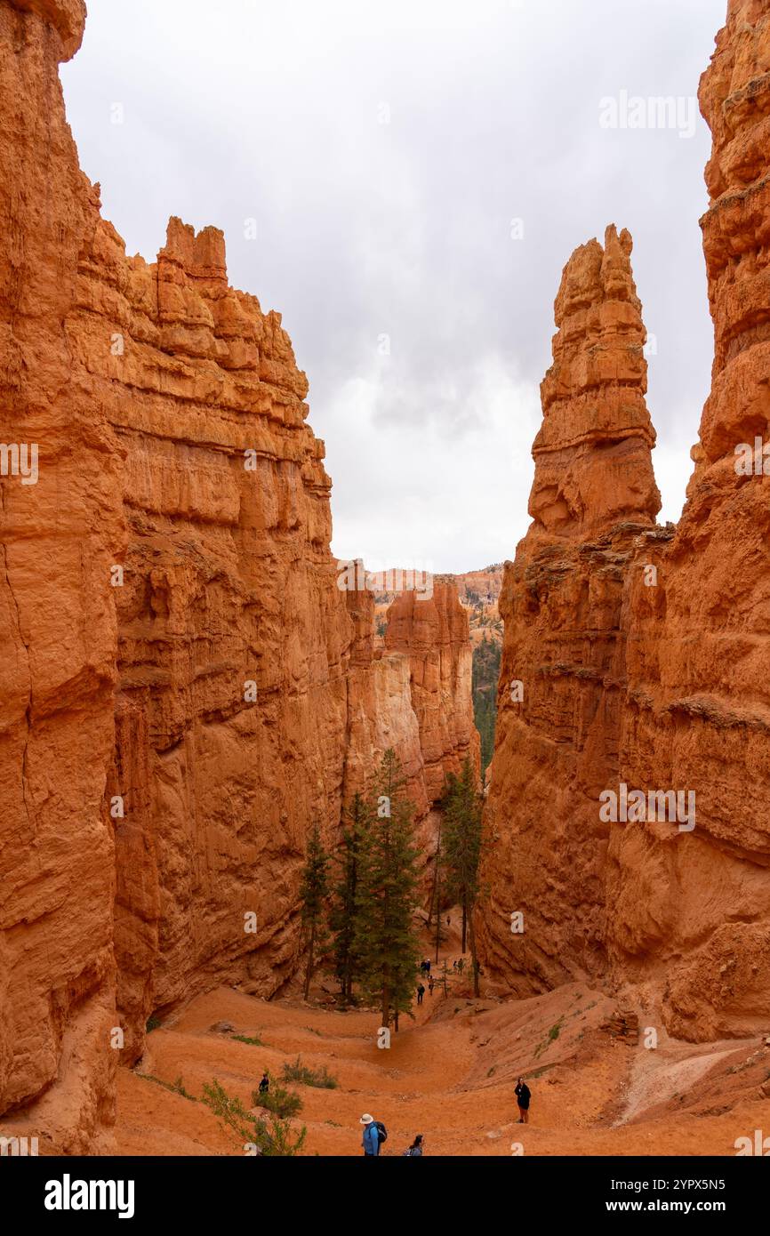 Parco Nazionale di Bryce Canyon nel sud dello Utah, Stati Uniti d'America Foto Stock