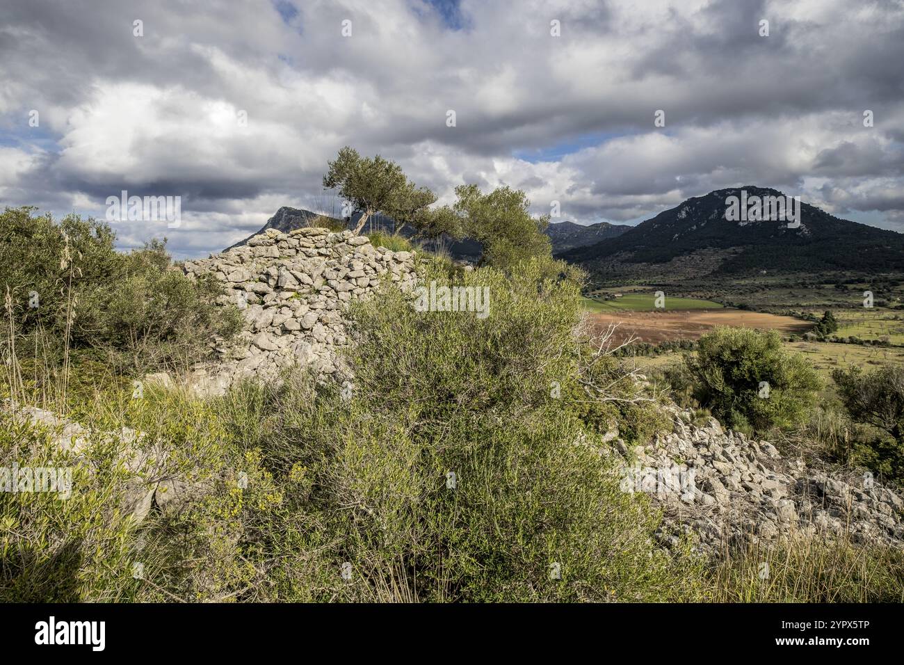 Tumulo de Son Ferrandell-Son Oleza, i milenio a C., Valldemossa, Maiorca, Isole Baleari, spagna Foto Stock