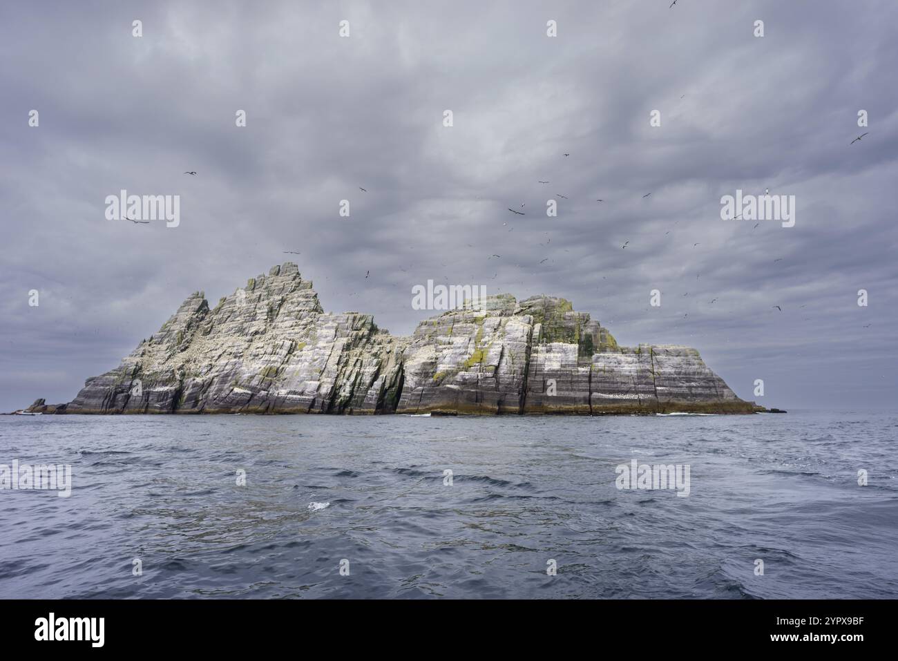 Sceiling Bheag, Skellig Rock Small, Irlanda, Regno Unito, Europa Foto Stock