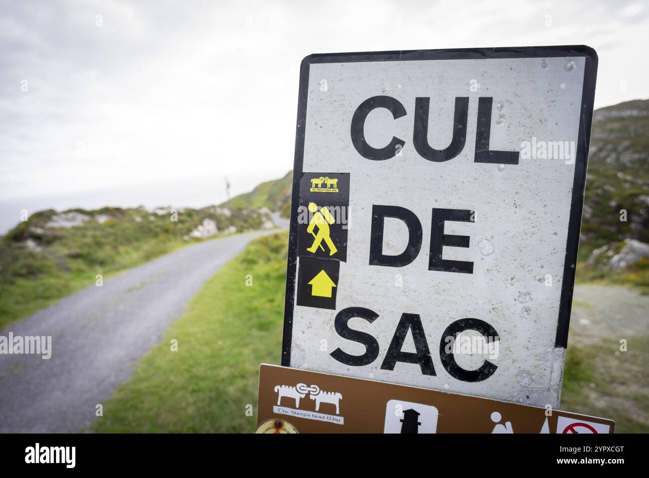 Cartello stradale senza uscita, Sheep's Head Peninsula, Irlanda, Regno Unito, Europa Foto Stock