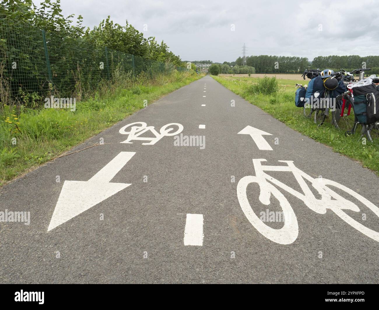 La regione di Bruxelles, in Belgio, ha istituito una rete ciclistica attraente. Pista ciclabile veloce con foto in bicicletta, Europa Foto Stock