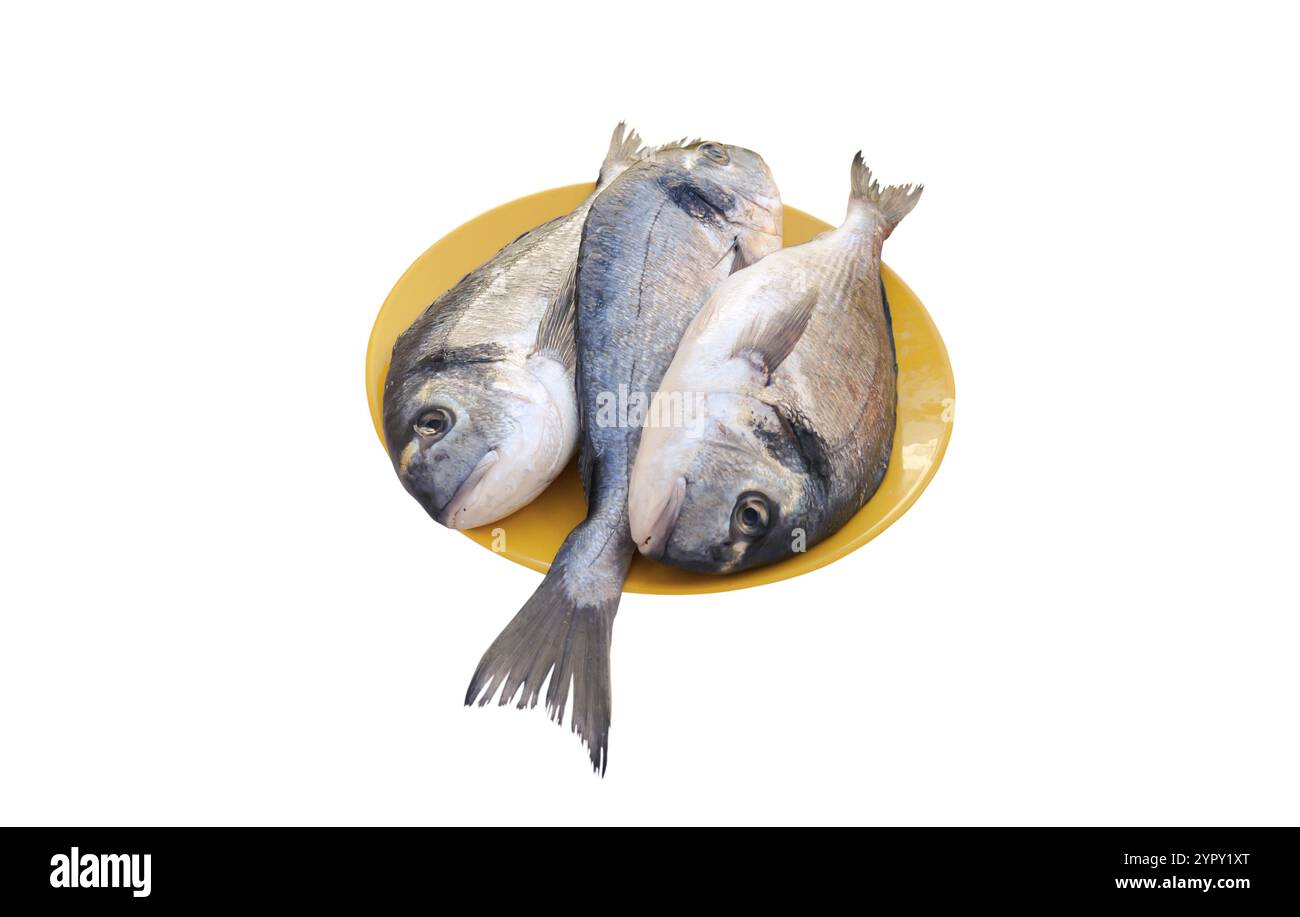dorada cruda o testa dorata orano pesci interi sul piatto giallo isolato su bianco. Sparus aurata cibo pesce. Fonte proteica. Foto Stock