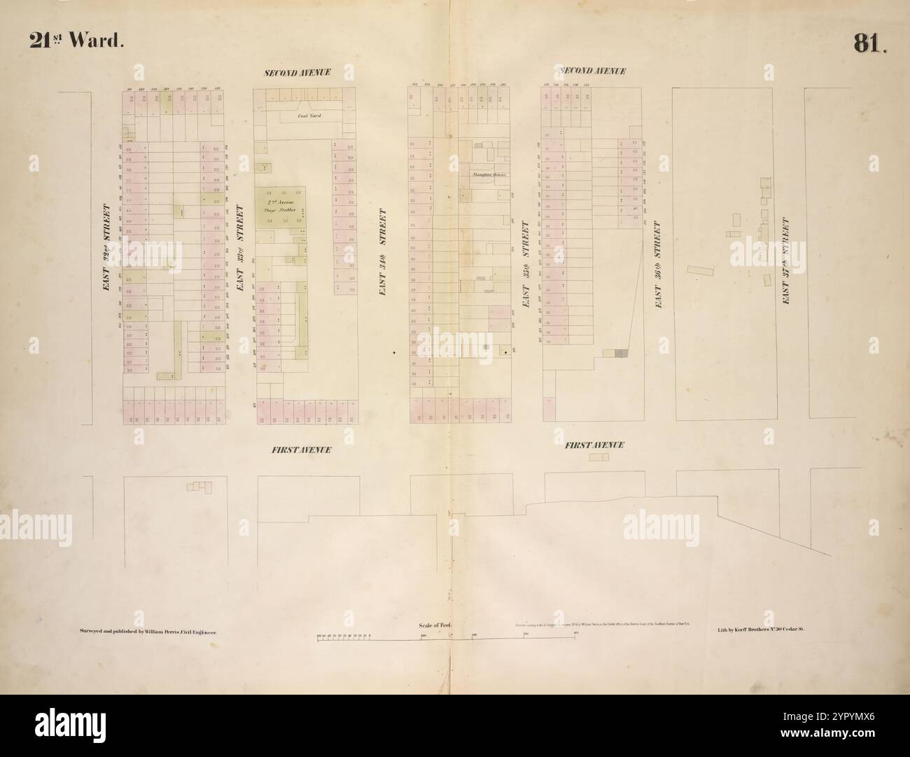 Mappa delimitata da Second Avenue, East 37th Street, First Avenue, East 32nd Street, Plate 81 1854 di Perris, William Foto Stock