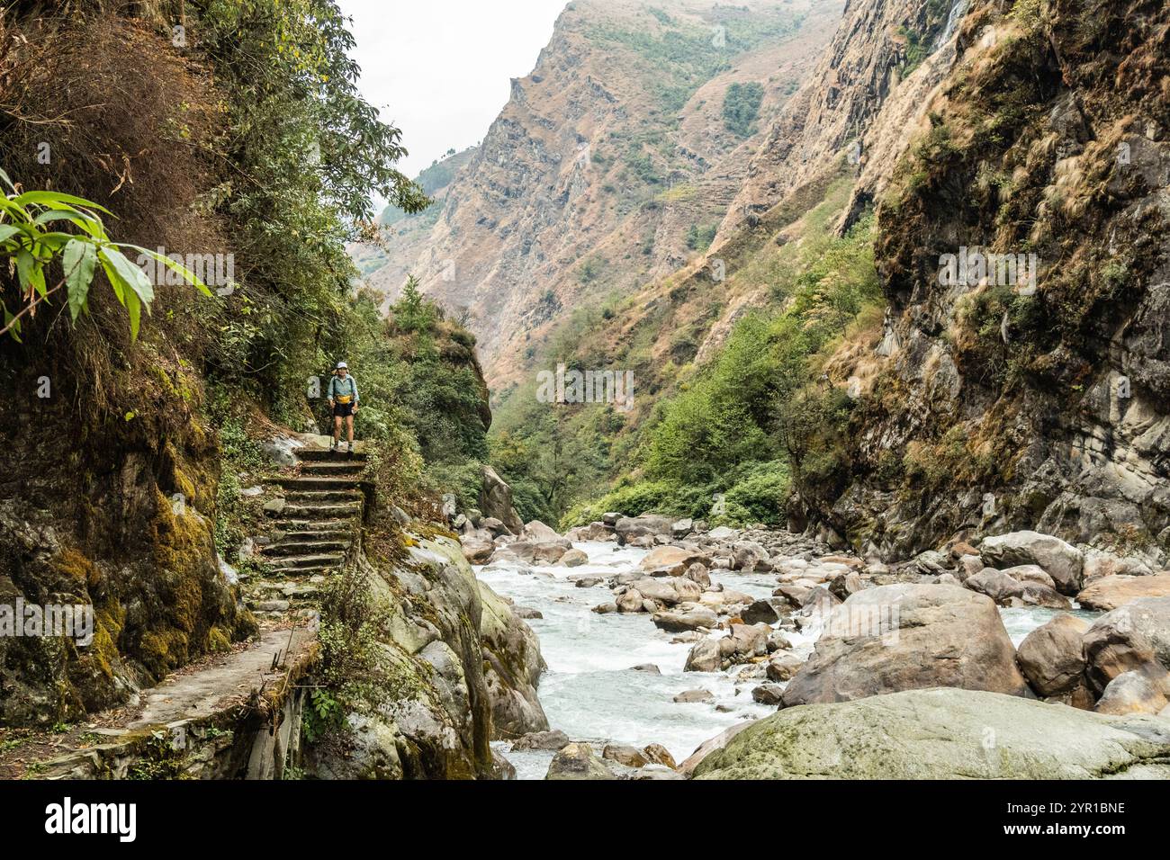 Trekking sulle montagne sul campo base di Kangchenjunga (Kanchenjunga), trekking, Ghunsa, Nepal Foto Stock