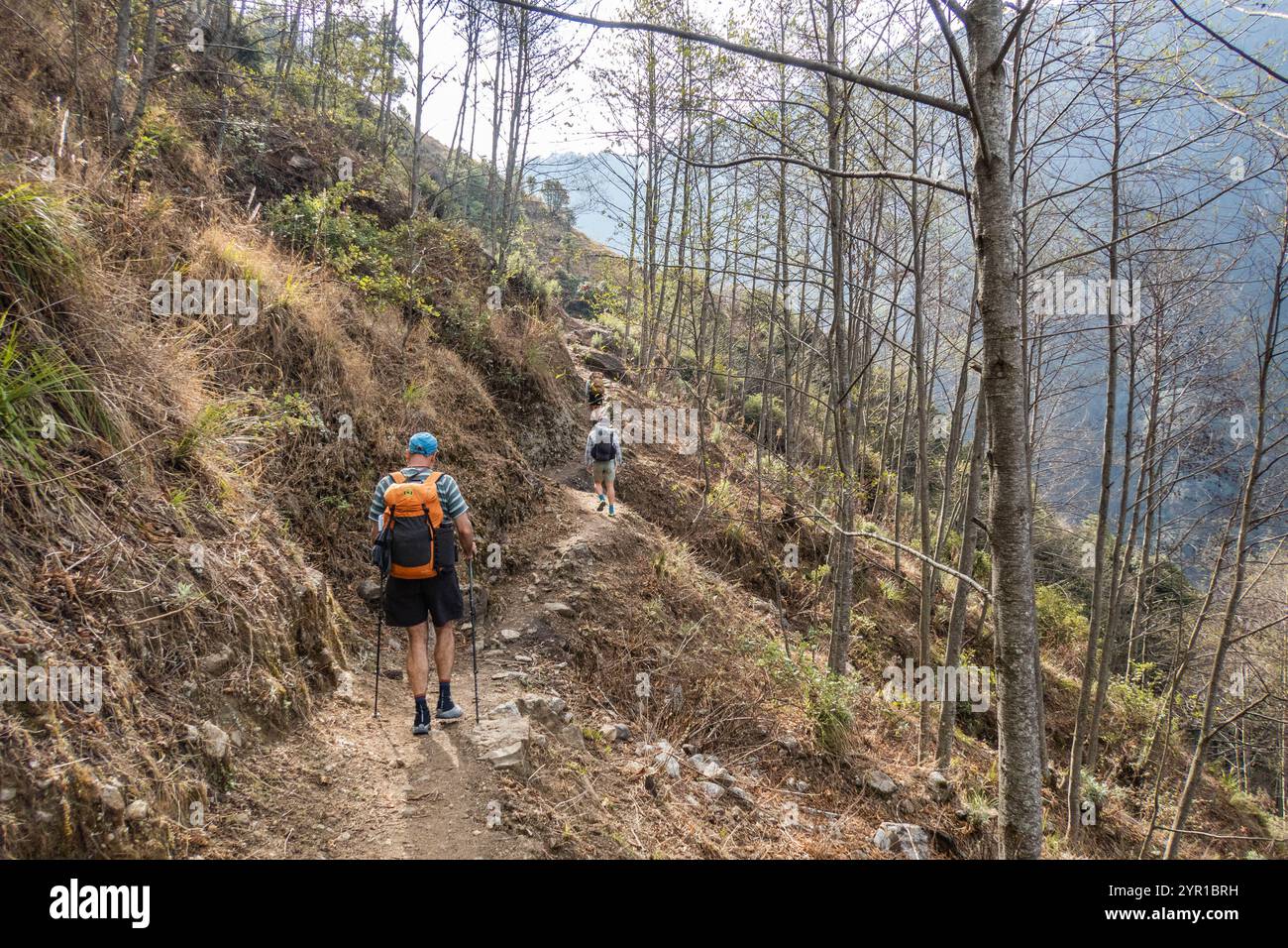 Trekking sulle montagne sul campo base di Kangchenjunga (Kanchenjunga), trekking, Ghunsa, Nepal Foto Stock