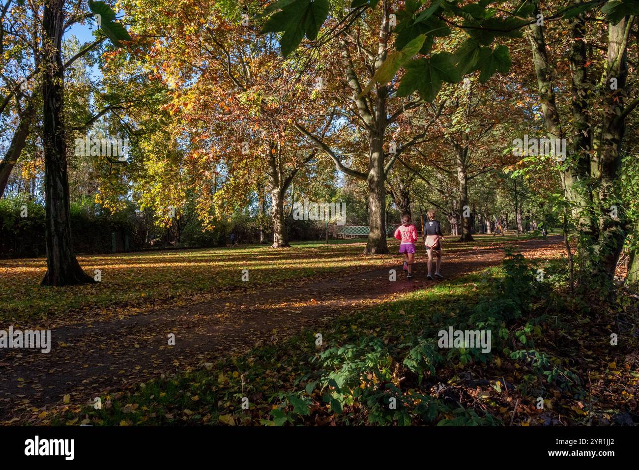 Jogger, lungofiume, fiume meno, Francoforte, Germania Foto Stock
