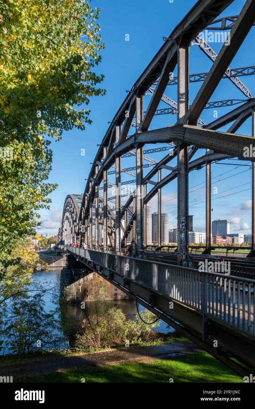 Ponte ferroviario e pedonale sul meno, che conduce alla stazione est di Francoforte Foto Stock
