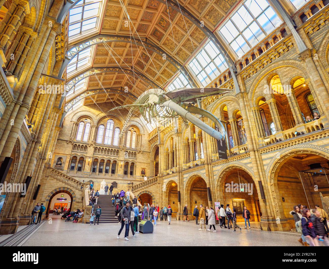 Sala principale all'interno del Museo di storia naturale, Londra, Regno Unito Foto Stock