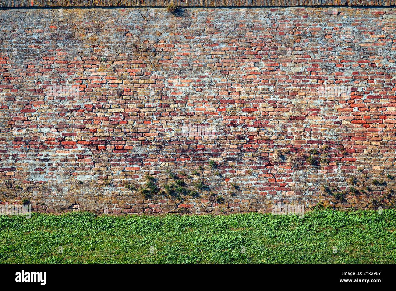 Vecchio schema murale in mattoni, dettaglio della fortezza di Petrovaradin a Novi Sad Foto Stock