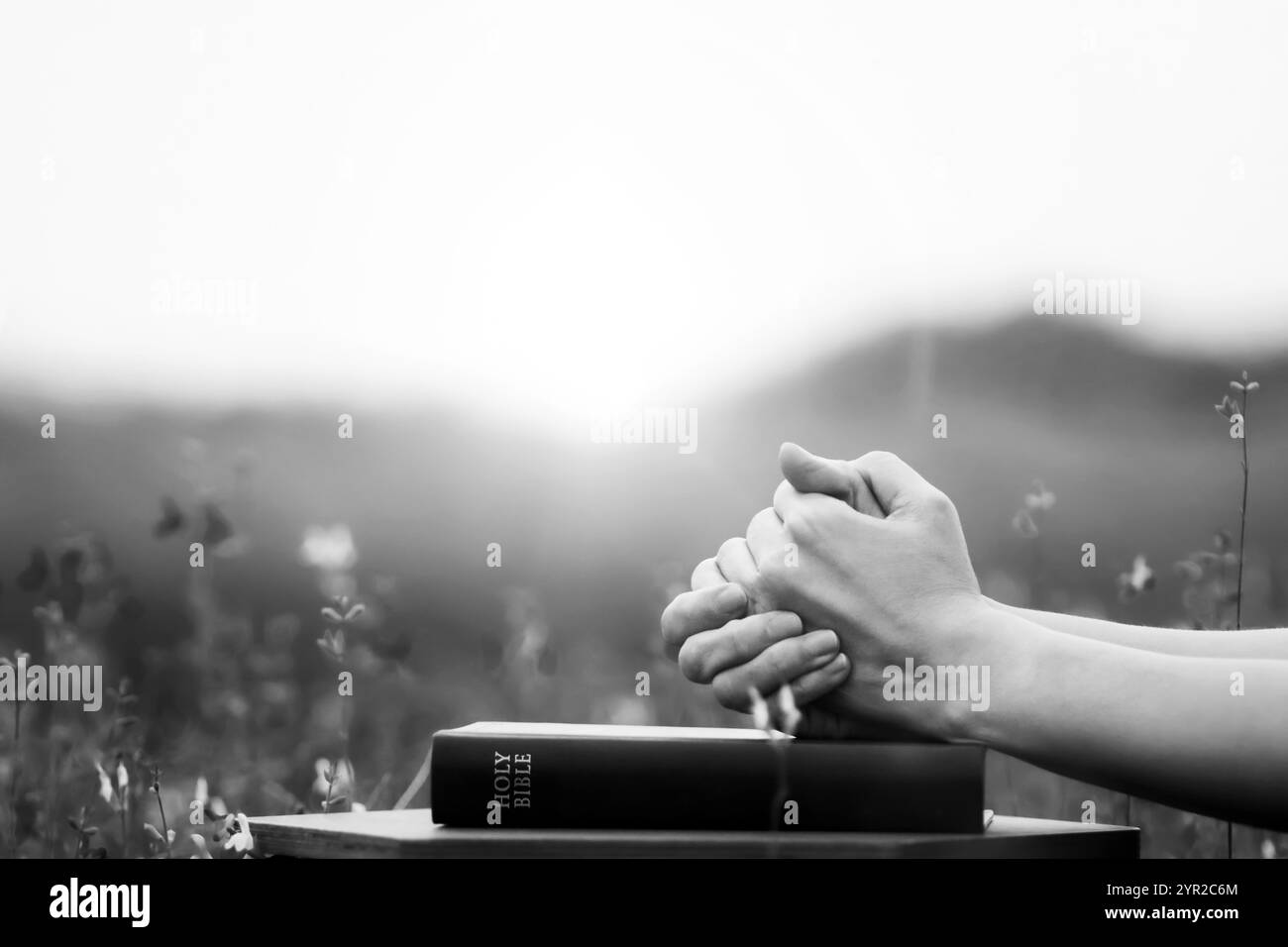 I cristiani pregavano e adoravano con entrambe le mani agganciate sulla Santa bibbia in un bellissimo campo di fiori, sfondo dell'alba di Capodanno Foto Stock