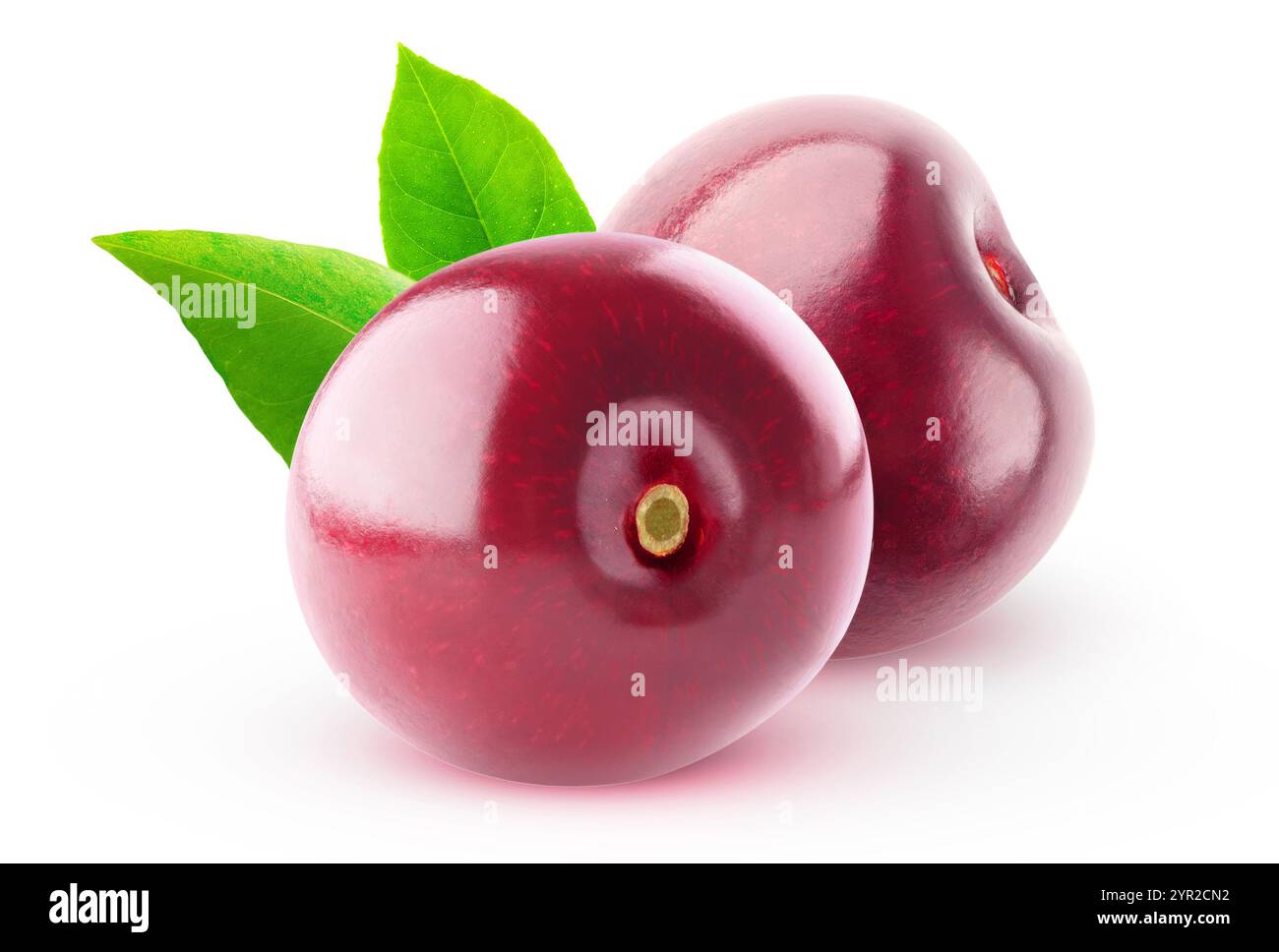 Due ciliegi isolati su fondo bianco, senza stelo Foto Stock