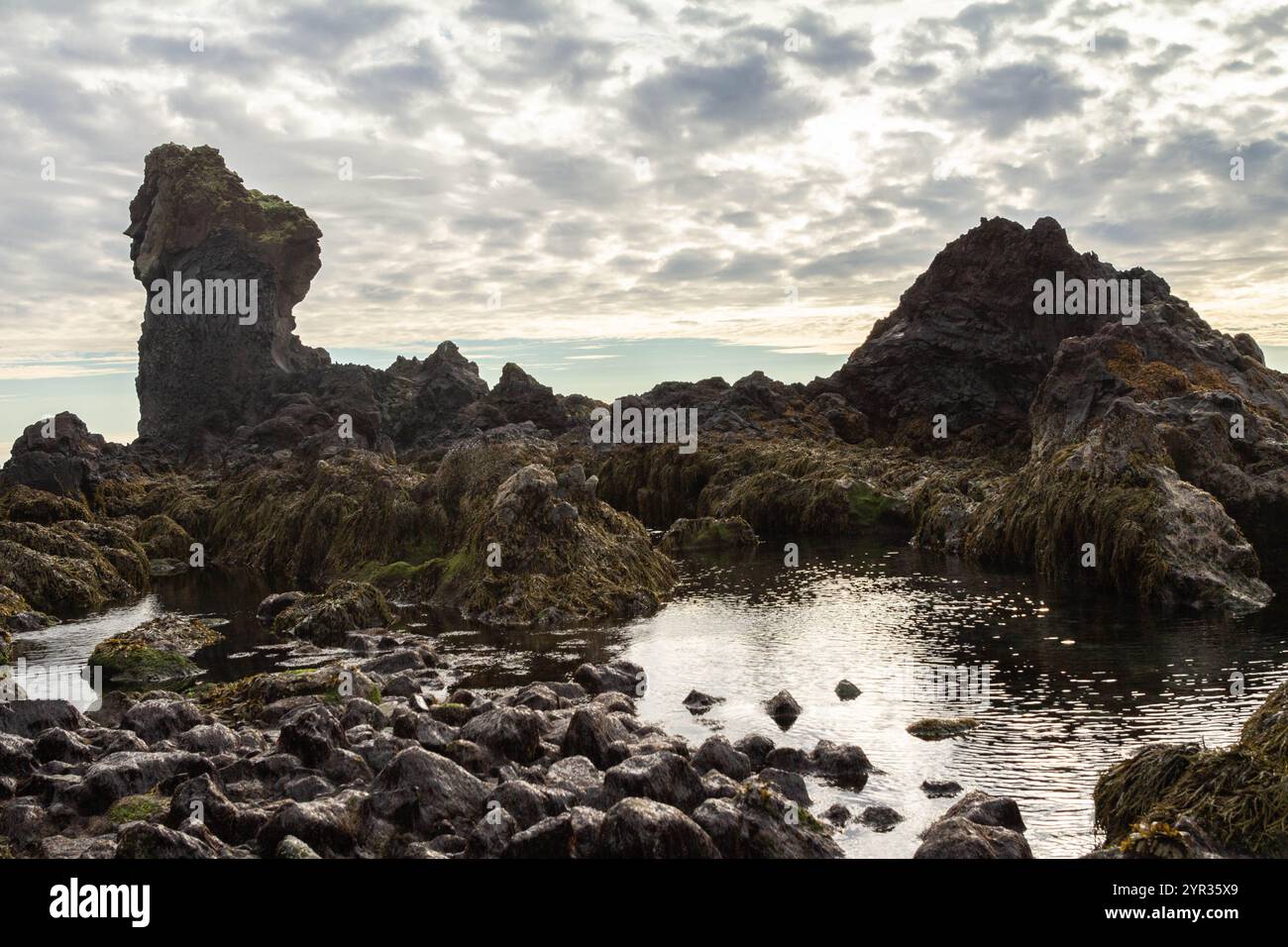 Le acque limpide si infrangono contro rocce laviche nere sulla spiaggia di Djúpalónssandur in Islanda Foto Stock