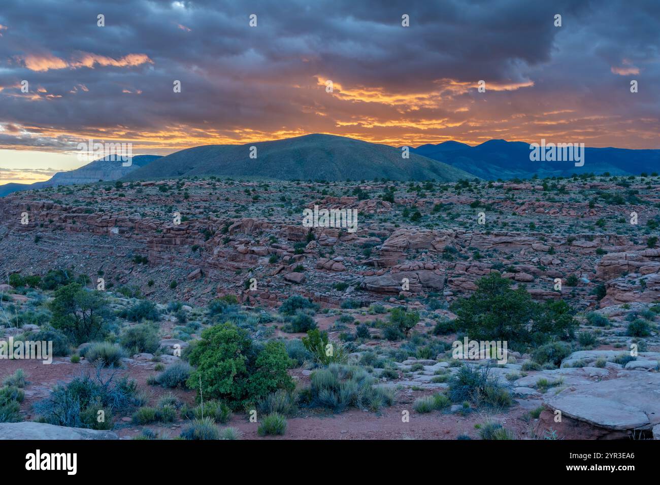 Ultima luce, Tuweap, Grand Canyon-Parashant National Monument, Arizona Foto Stock