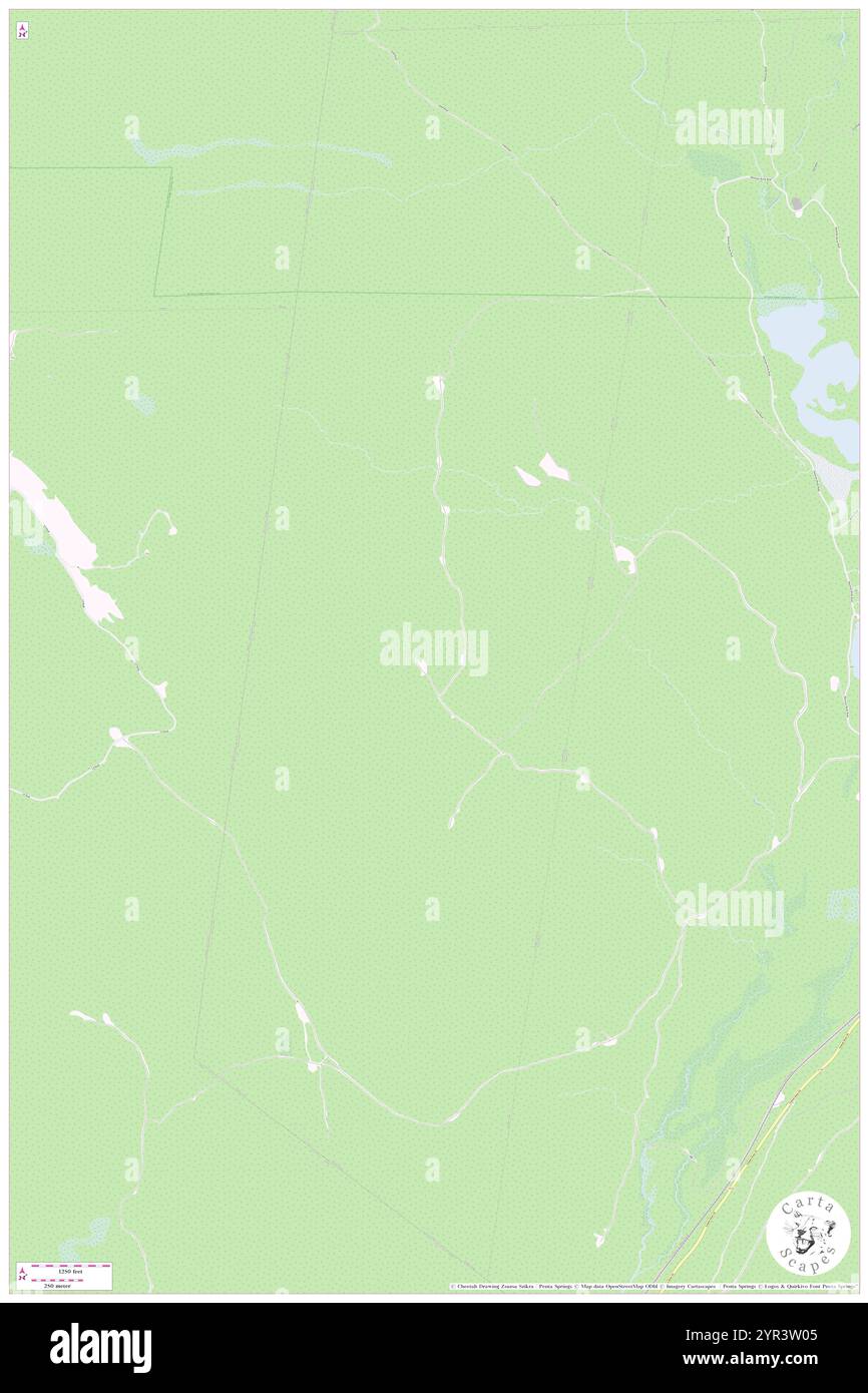 Warner's Grant, Essex County, Stati Uniti, Vermont, N 44 55' 20'', S 71 54' 45''', MAP, Cartascapes Map pubblicata nel 2024. Esplora Cartascapes, una mappa che rivela i diversi paesaggi, culture ed ecosistemi della Terra. Viaggia attraverso il tempo e lo spazio, scoprendo l'interconnessione del passato, del presente e del futuro del nostro pianeta. Foto Stock