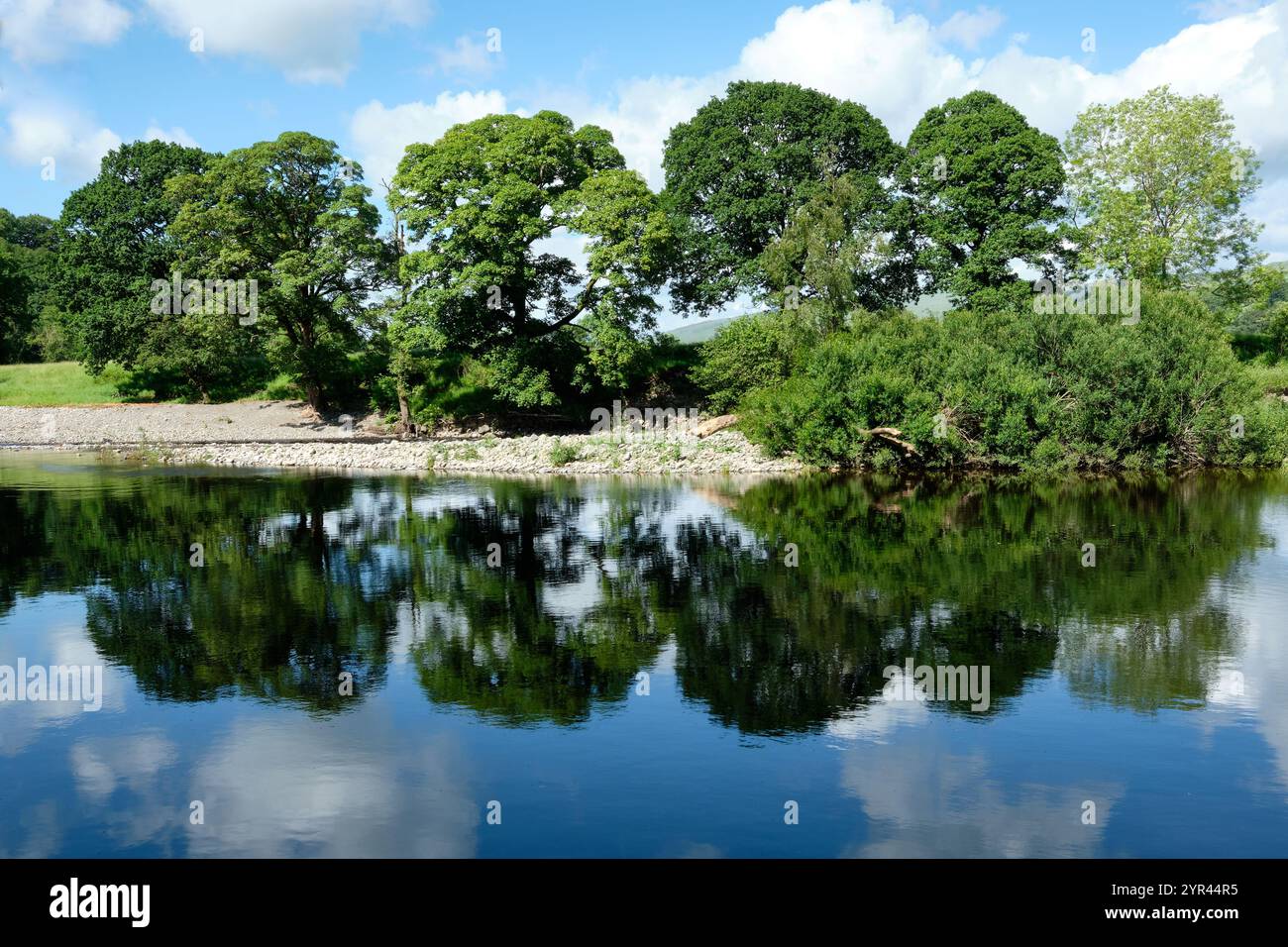 Splendidi riflessi di alberi nel fiume Lune Foto Stock
