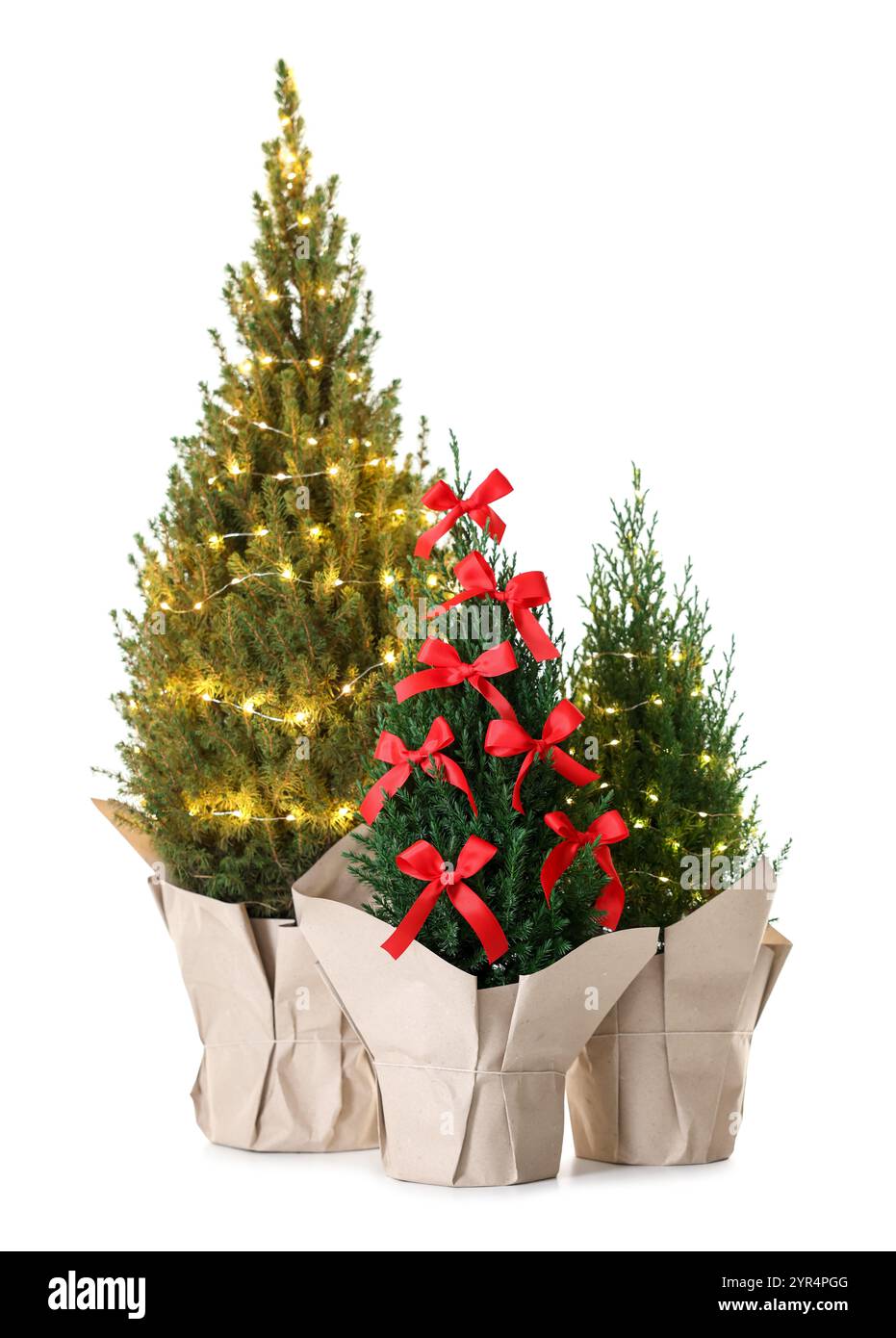 Piccoli abeti decorati con luci natalizie e archi rossi isolati sul bianco Foto Stock