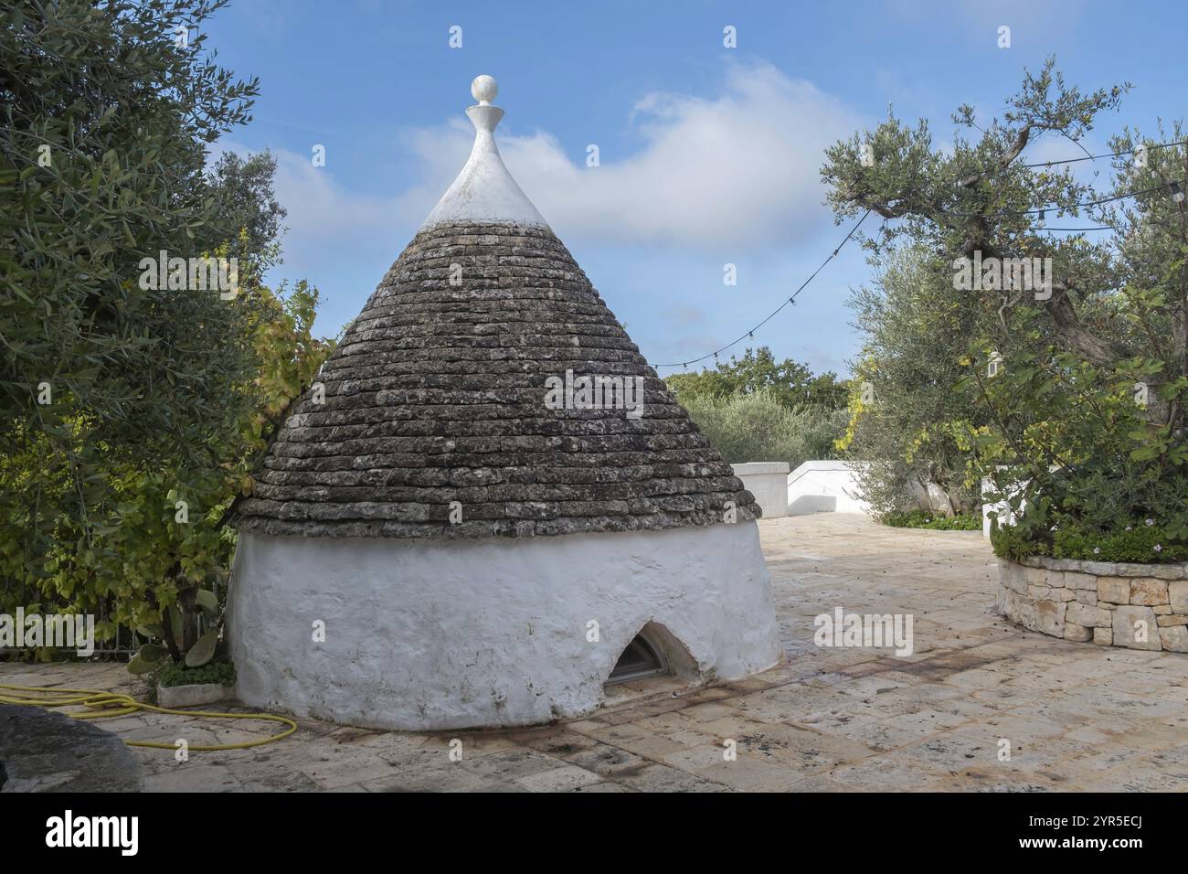 Trullo, tradizionale casa rotonda in pietra con tetto conico nel paesaggio mediterraneo, Puglia, Italia, Europa Foto Stock