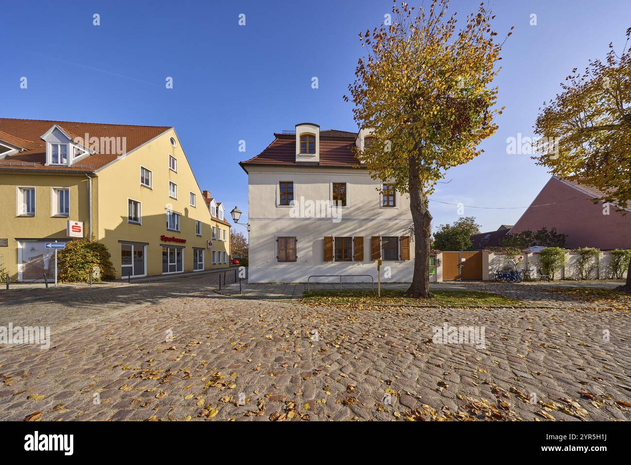 Albero autunnale, strada acciottolata, edificio residenziale, cielo azzurro senza nuvole, Lindenstrasse, Muehlberg Elbe, distretto Elba-Elster, Brandeburgo, Germania Foto Stock