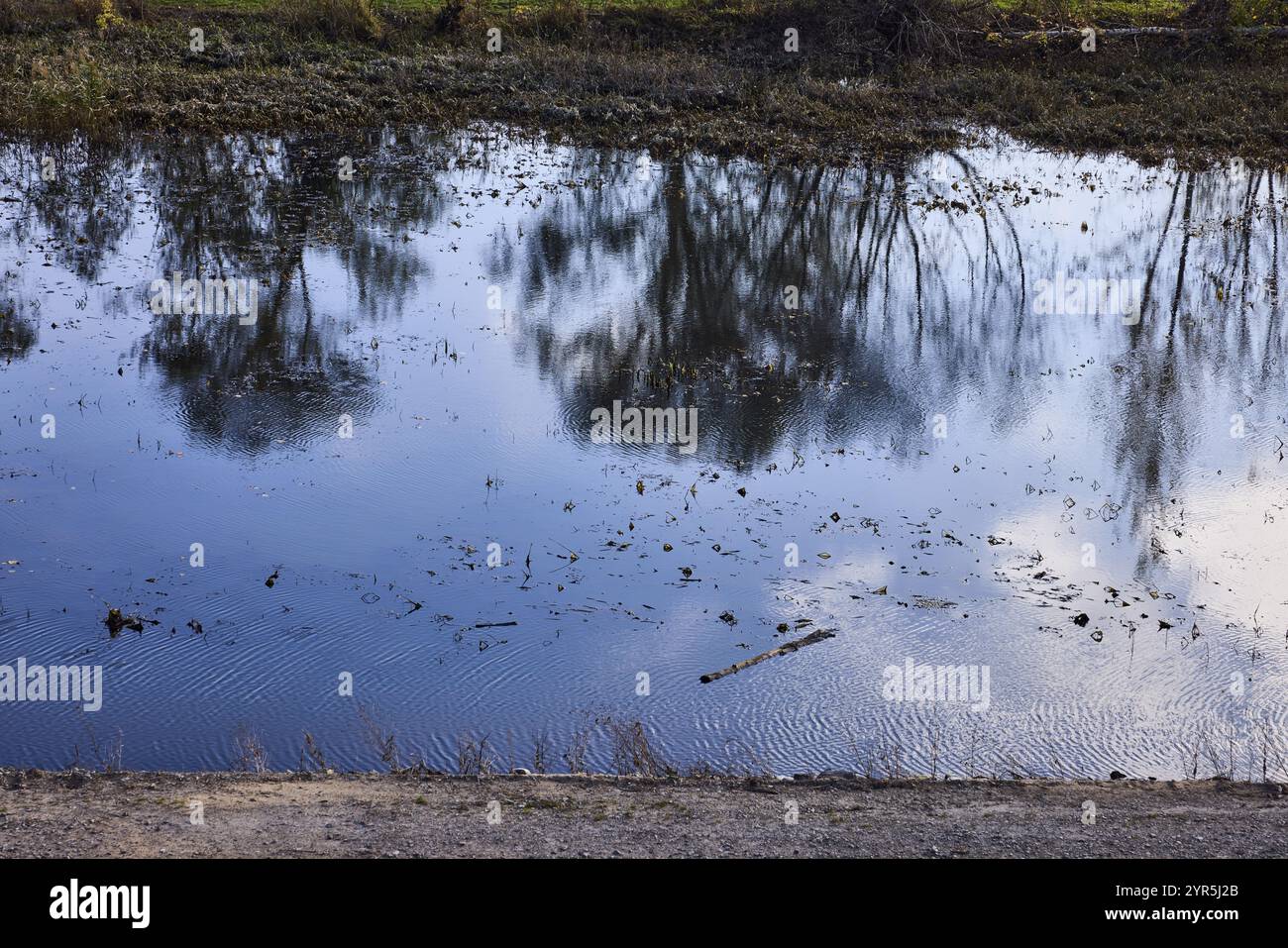 Riflessi astratti sulla superficie idrica, alberi, alte Elbe, Muehlberg Elbe, Elba-Elster, Brandeburgo, Germania, Europa Foto Stock