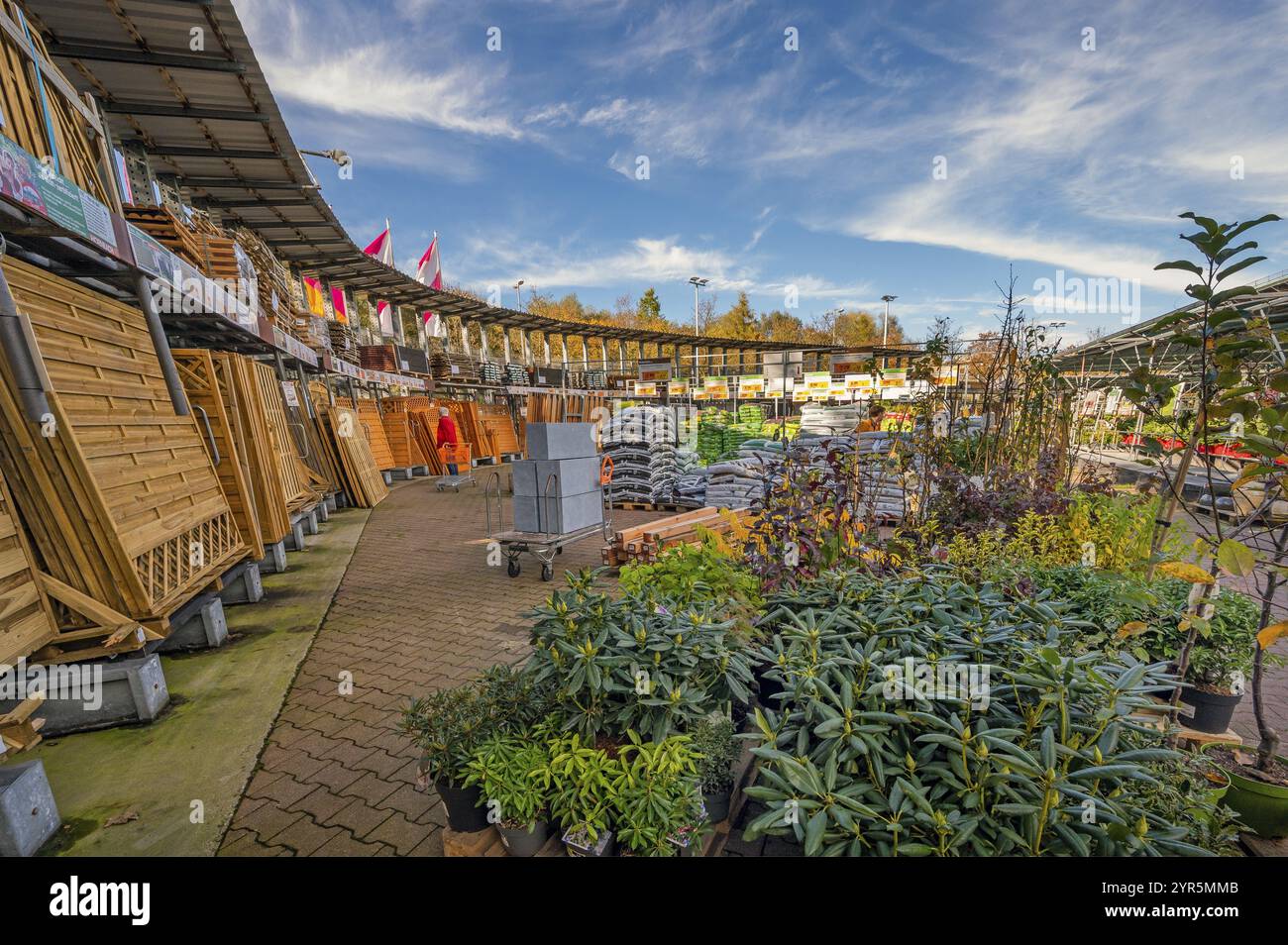 Negozio fai da te, area all'aperto con piante e schermi per la privacy, Allgaeu, Baviera, Germania, Europa Foto Stock