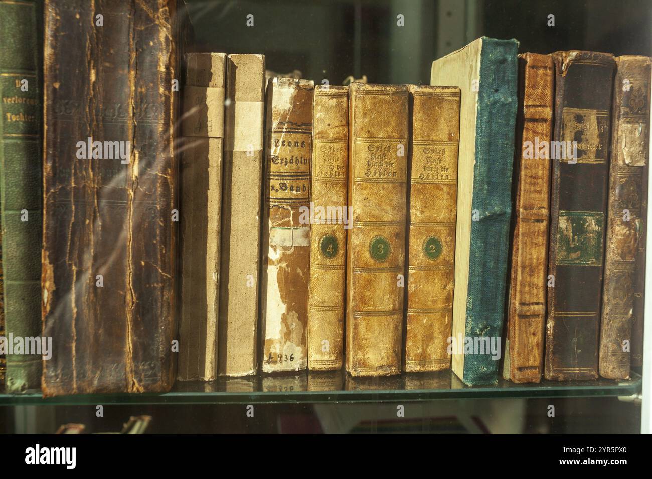 Vecchi libri su una libreria, Germania, Europa Foto Stock