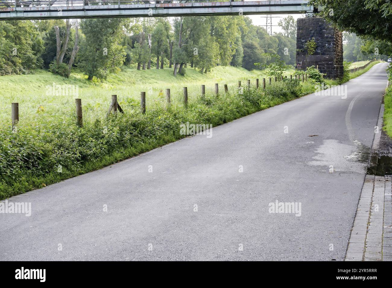 Strada senza traffico nel bosco Foto Stock