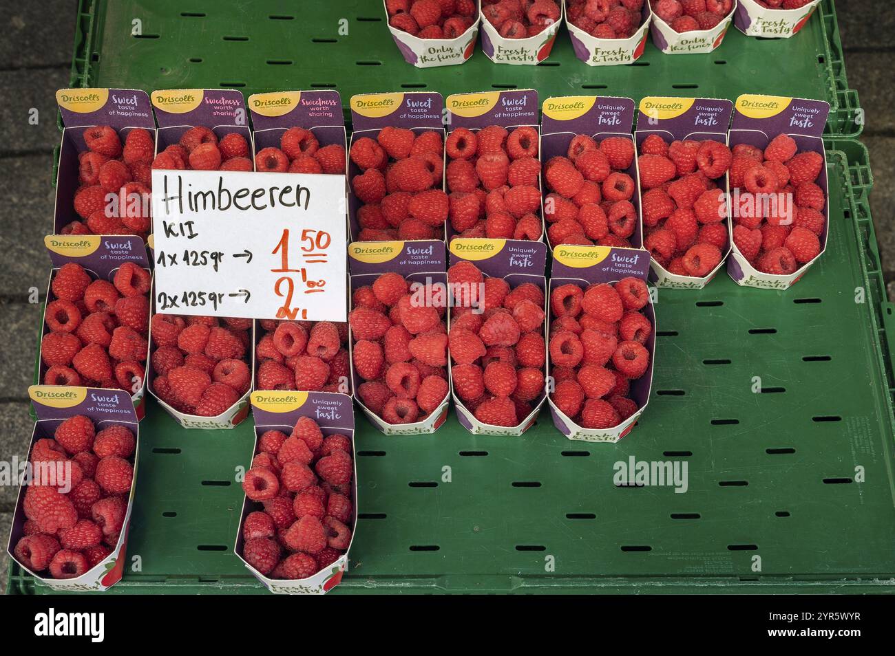 Lamponi (Rubus idaeus), in vassoi di cartone, Kempten, Allgaeu, Baviera, Germania, Europa Foto Stock