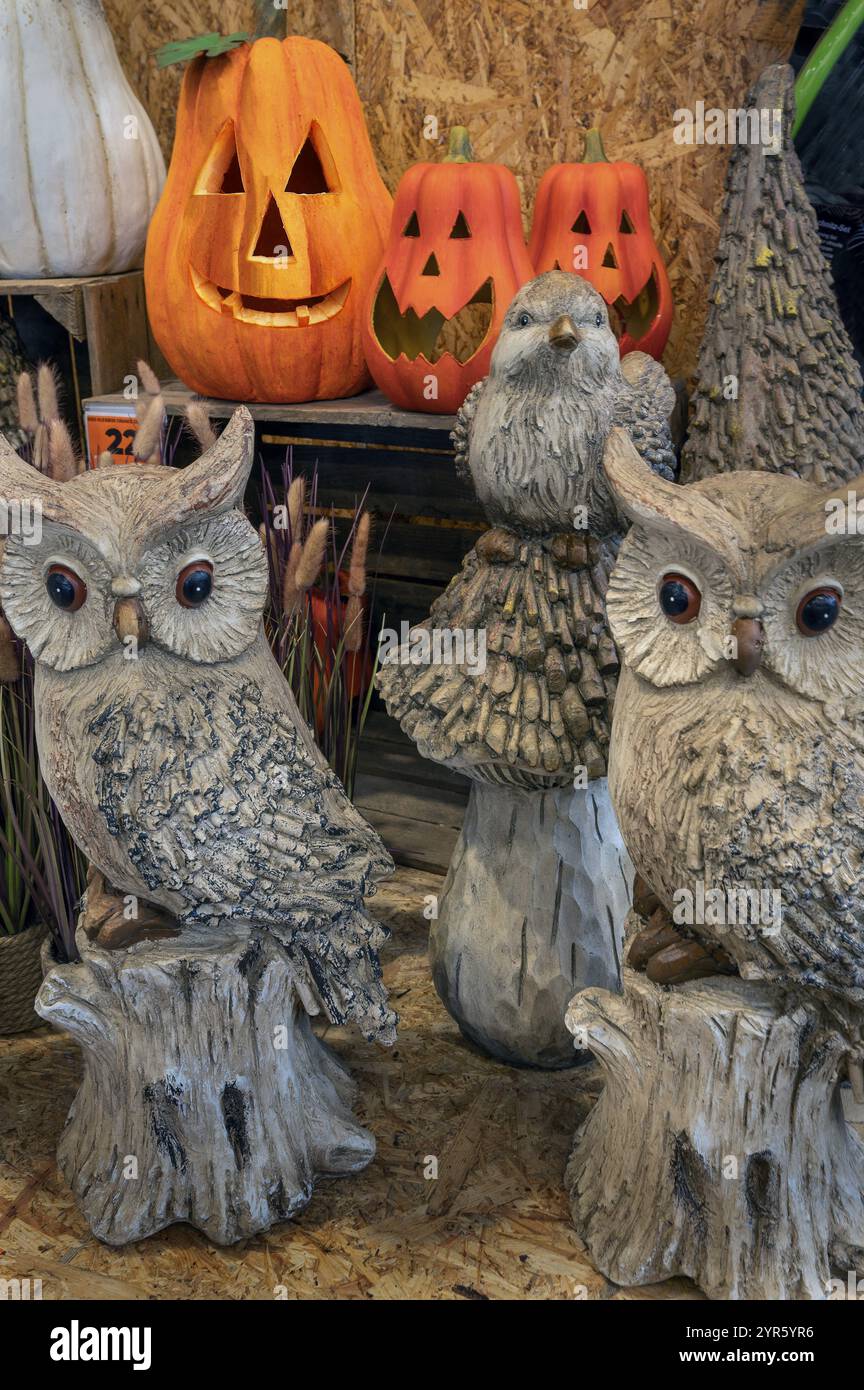 Zucche di Halloween e gufi di ceramica, negozio fai da te, Kempten, Allgaeu, Baviera, Germania, Europa Foto Stock