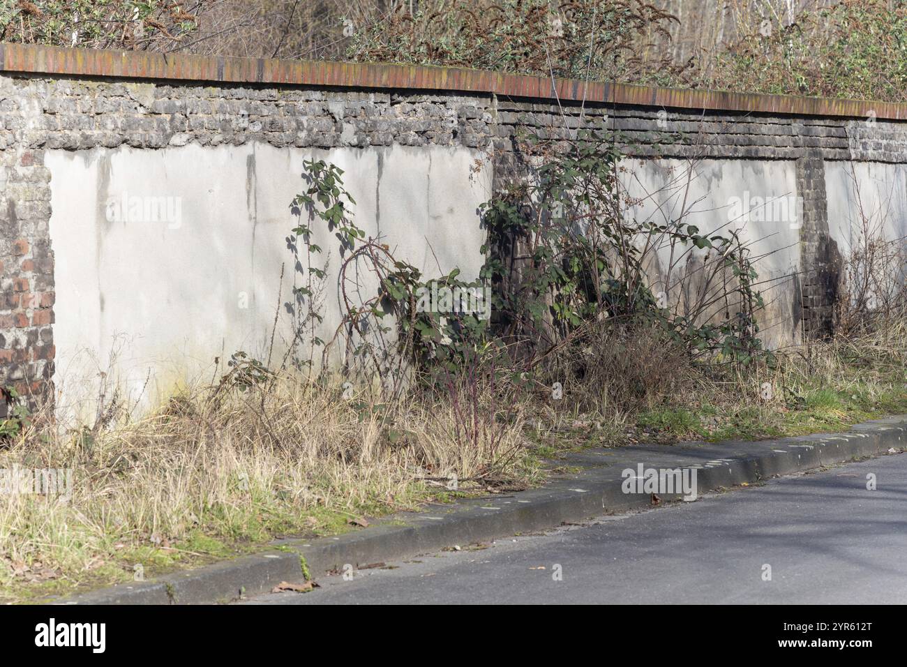 Cespugli e piante ricoperte contro un muro di mattoni accanto a un sentiero Foto Stock